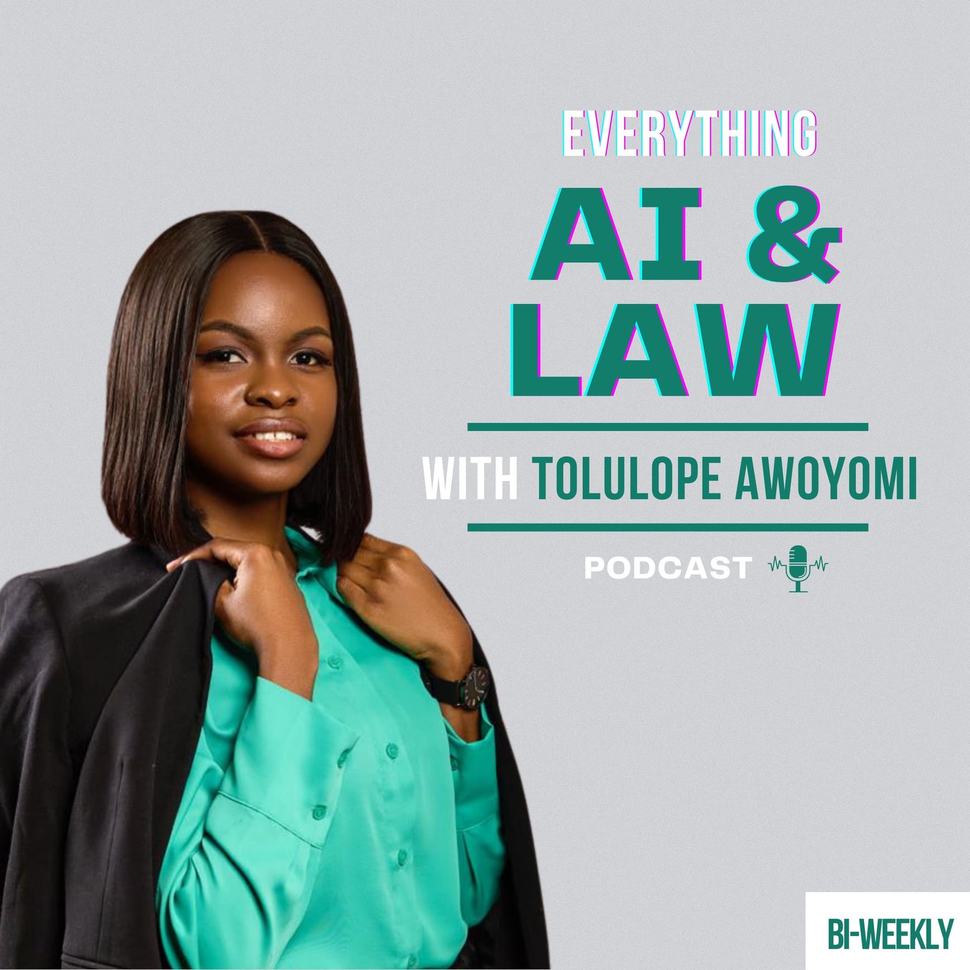 Everything AI & Law - Podcasts