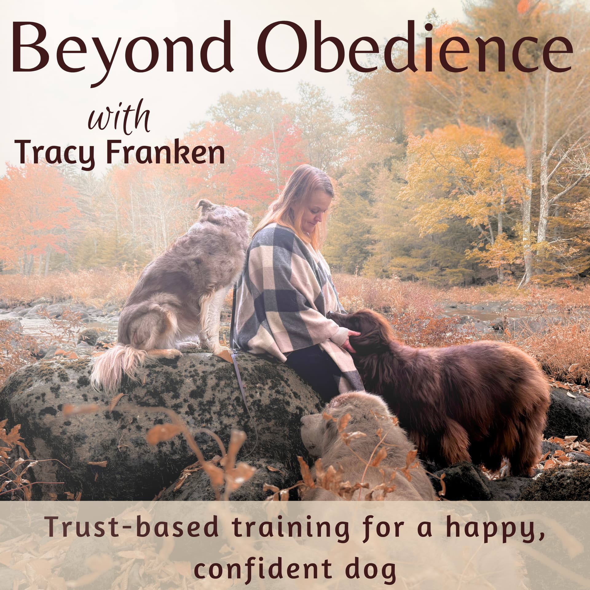 Beyond Obedience | Dog Training, Dog Behaviour Training, Scared Dogs, Reactive Dogs - Podcast