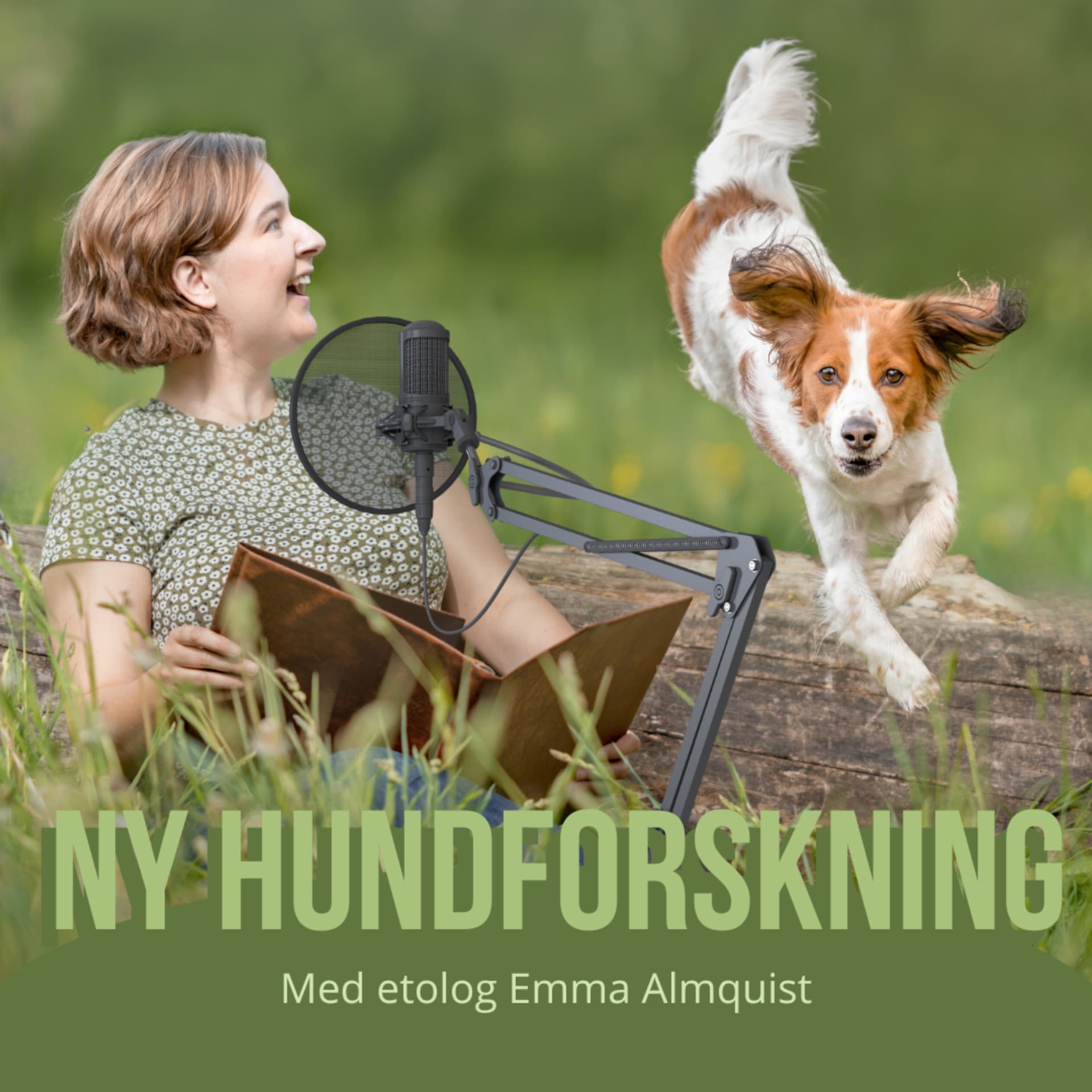 Ny hundforskning - Podcasts