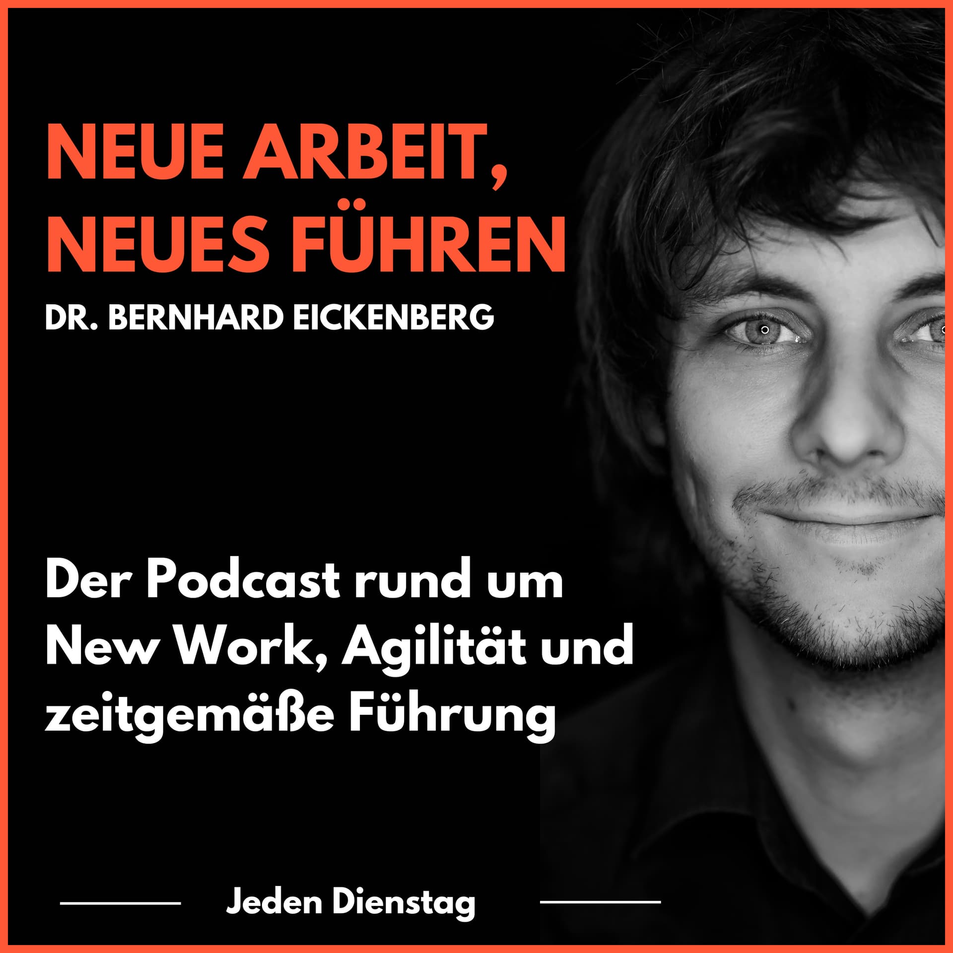 Neue Arbeit, Neues Führen - Podcasts