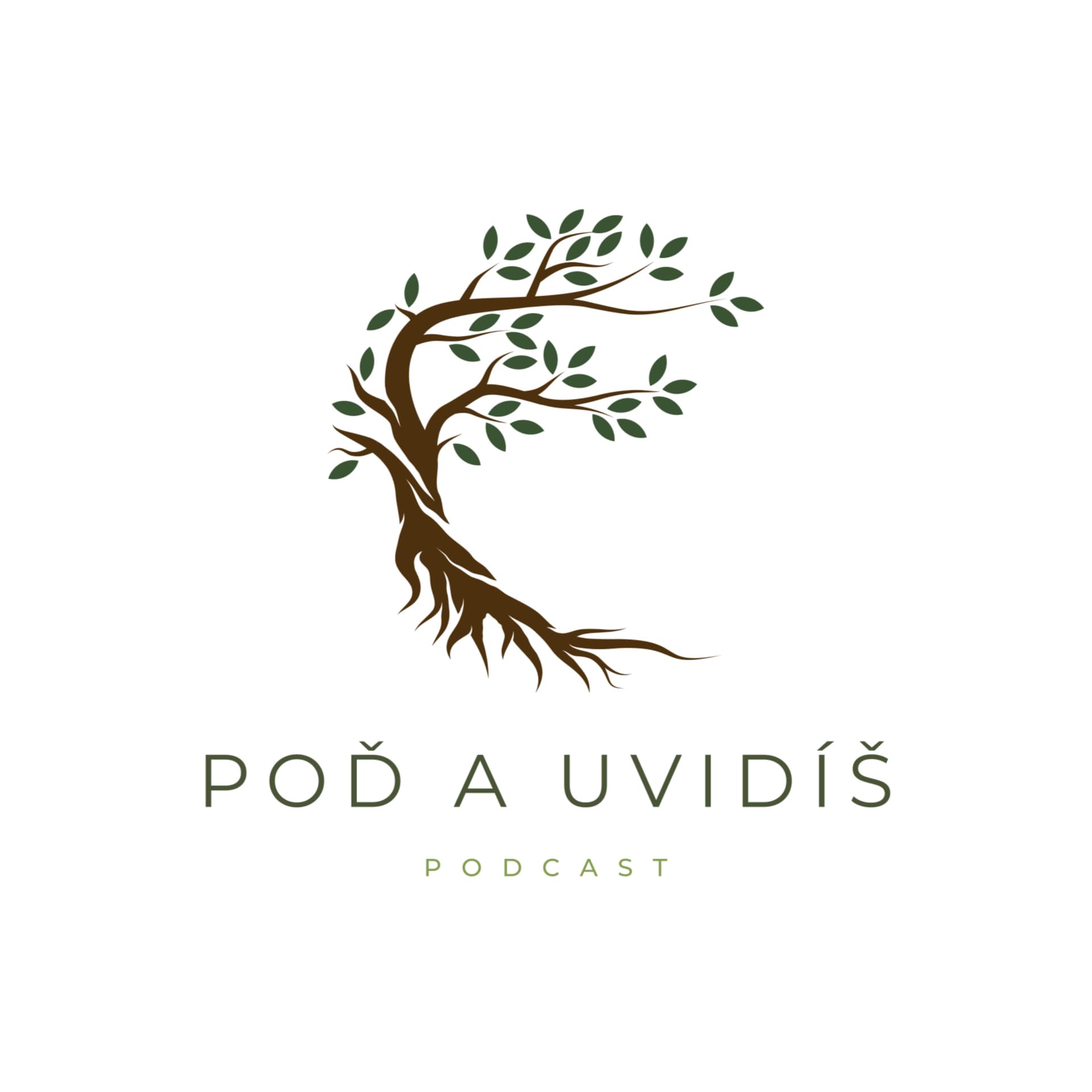 Poď a uvidíš! - Podcasts