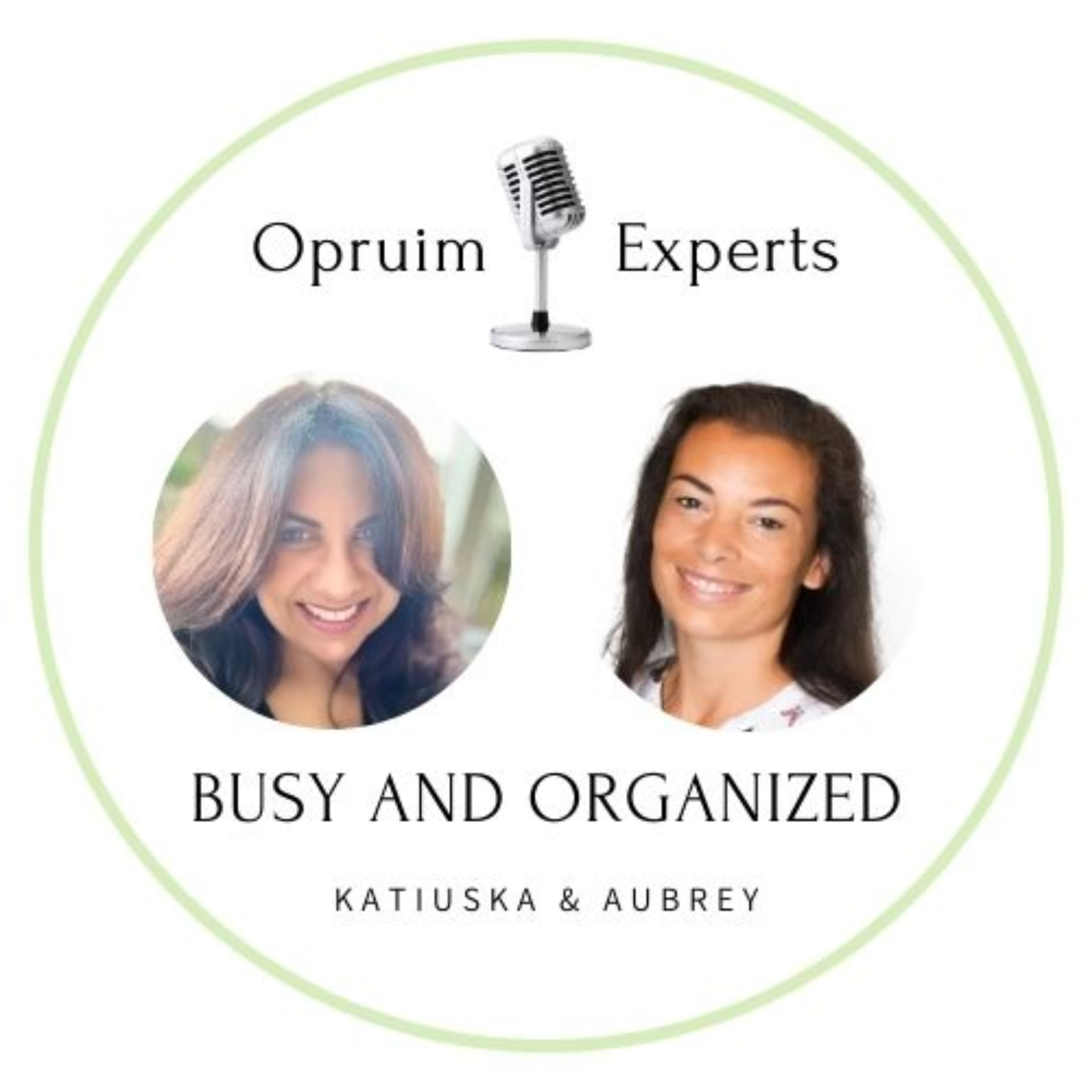Busy and Organized - Podcasts