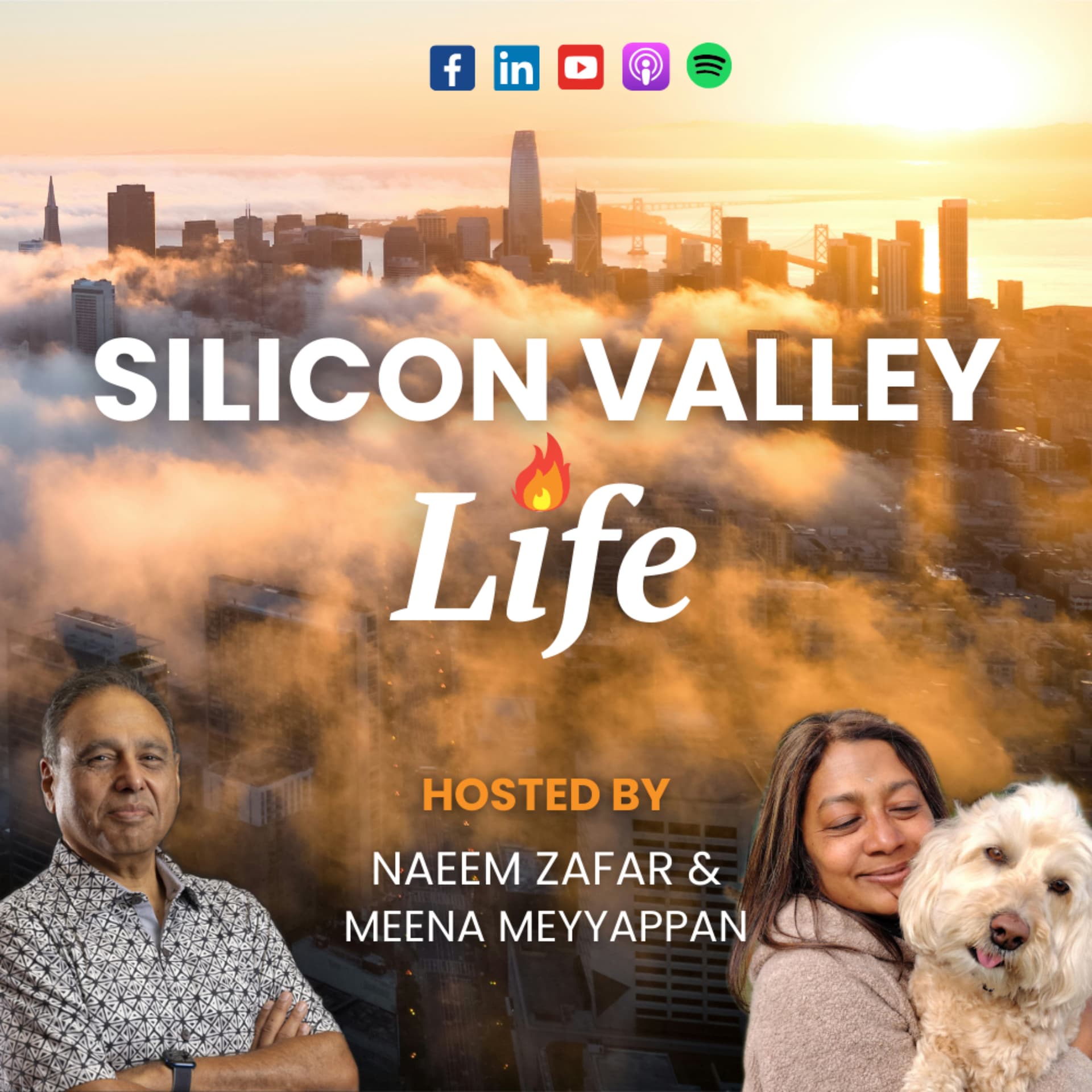 Silicon Valley Life - Podcasts