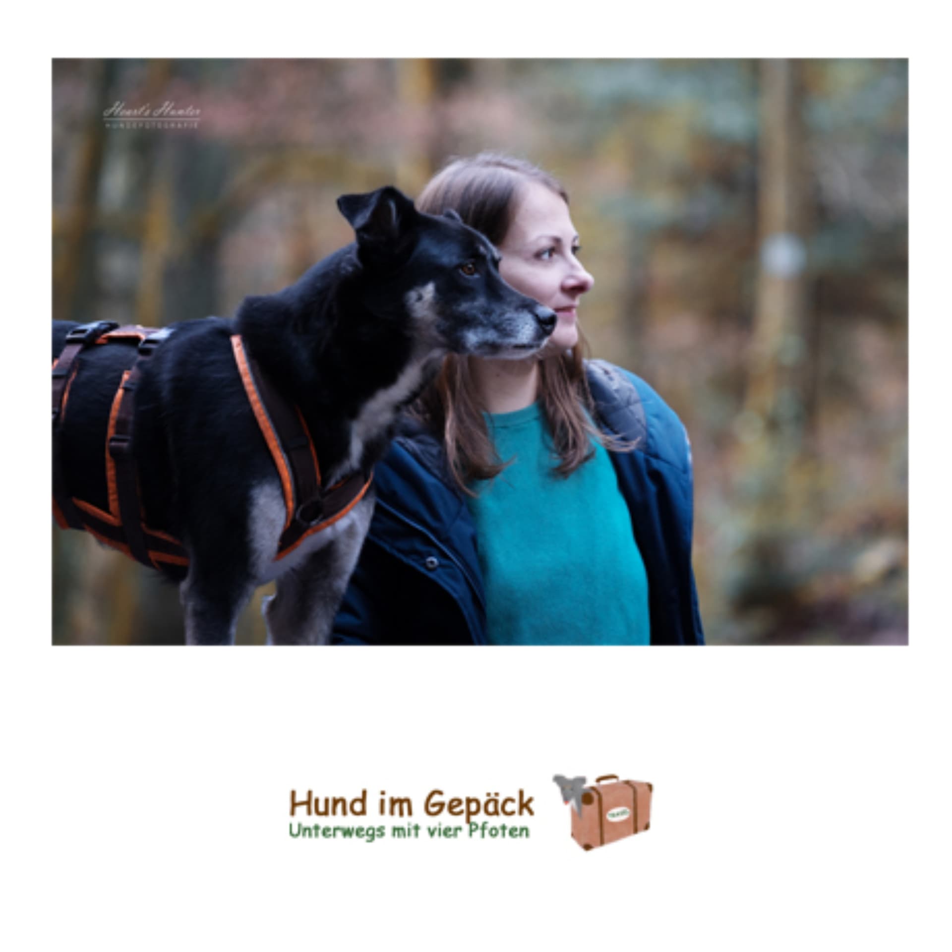 Hund im Gepäck - unterwegs mit vier Pfoten - Podcasts