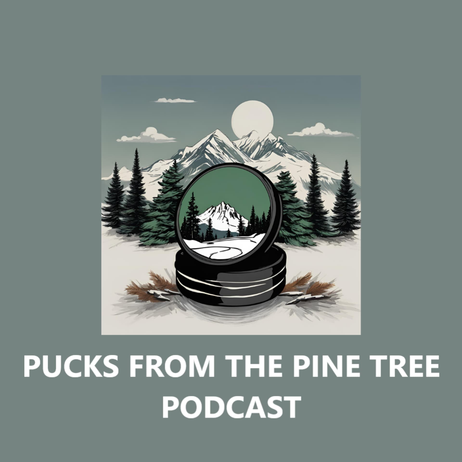 Pucks From The Pine Tree Podcast - Podcasts