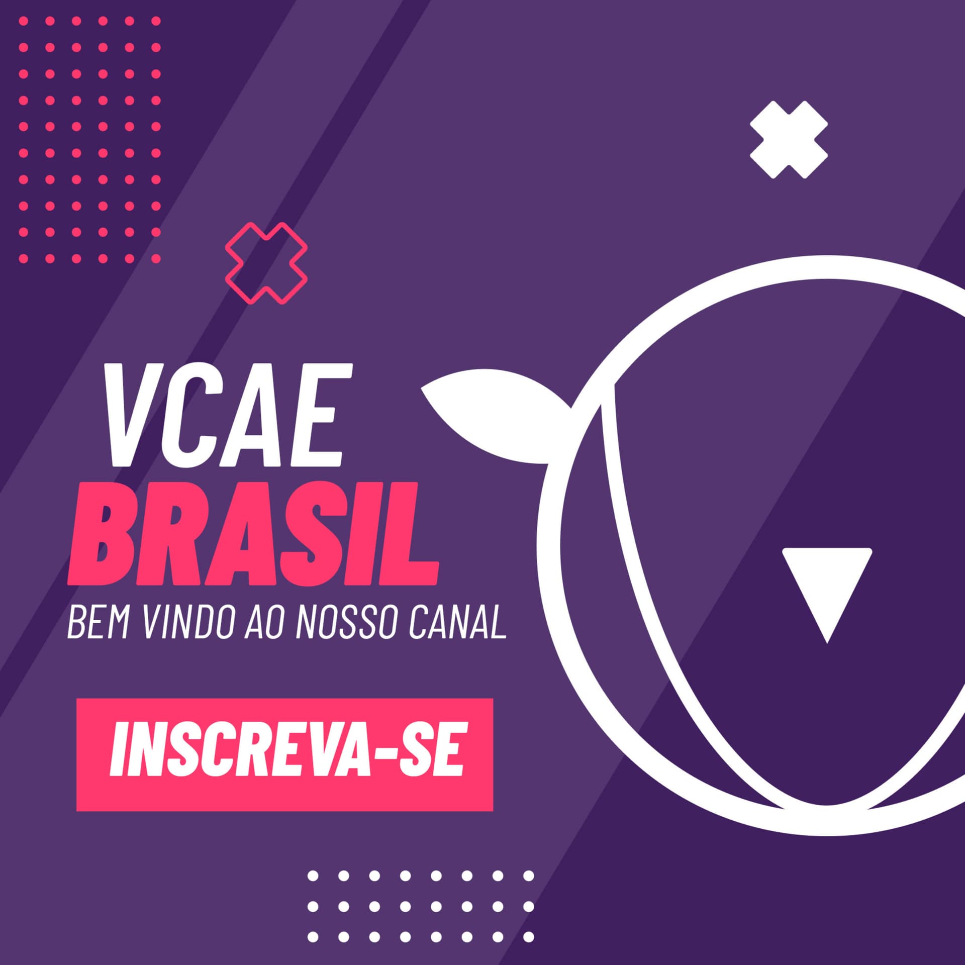 VCAE Brasil - Podcasts