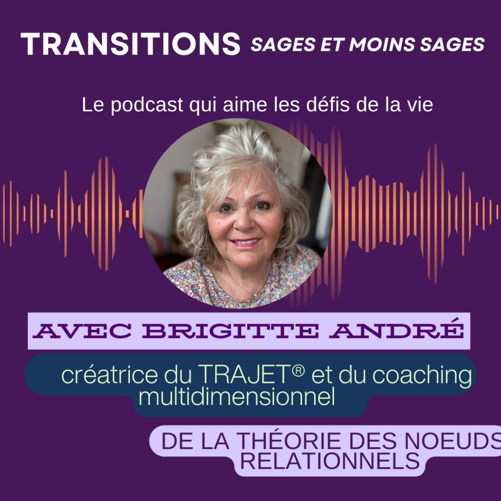 Transitions, les sages et les moins sages - Podcasts