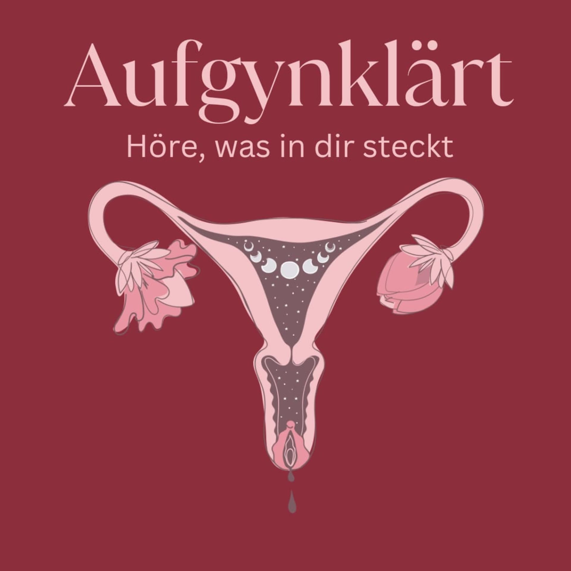 Aufgynklärt - Podcasts