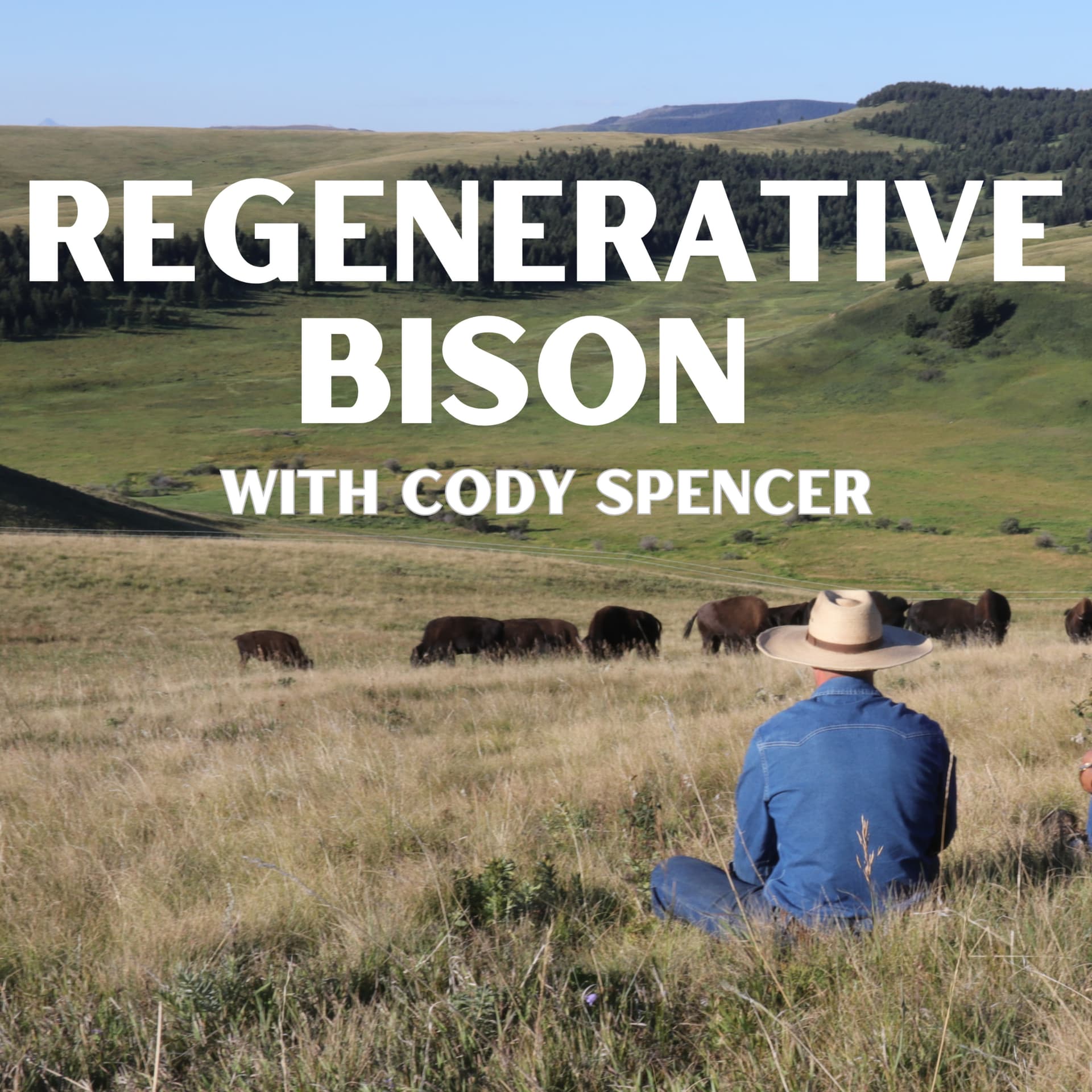 Regenerative Bison with Cody Spencer
