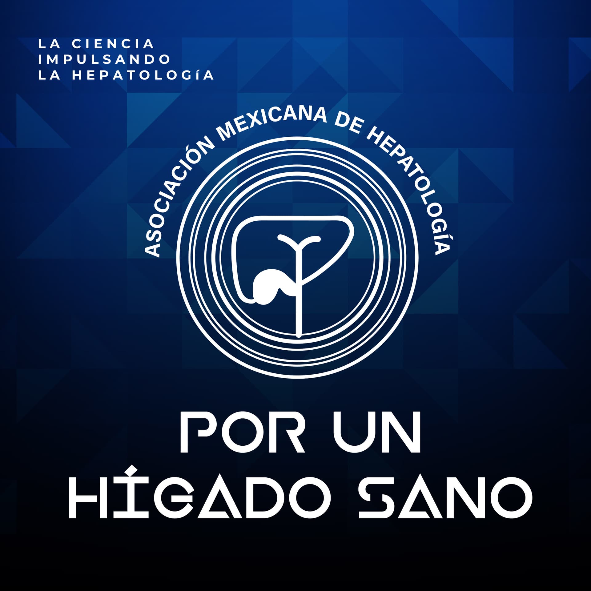 Por un Hígado Sano