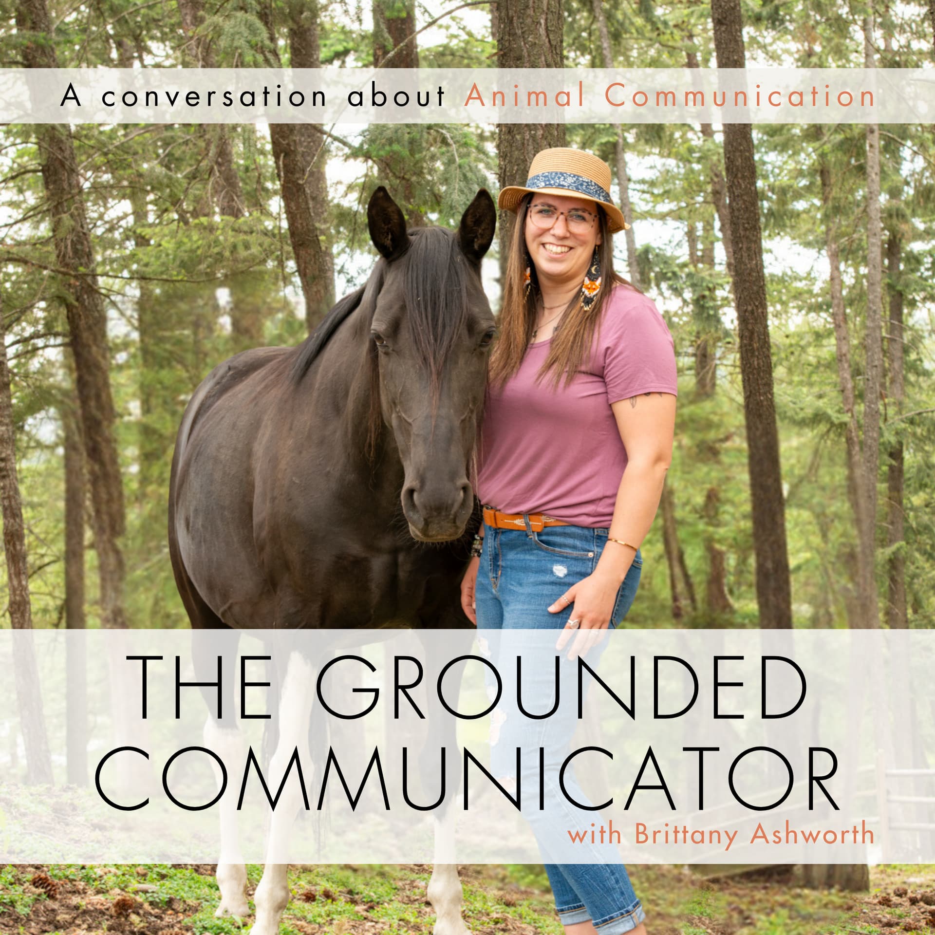 The Grounded Communicator - Podcasts