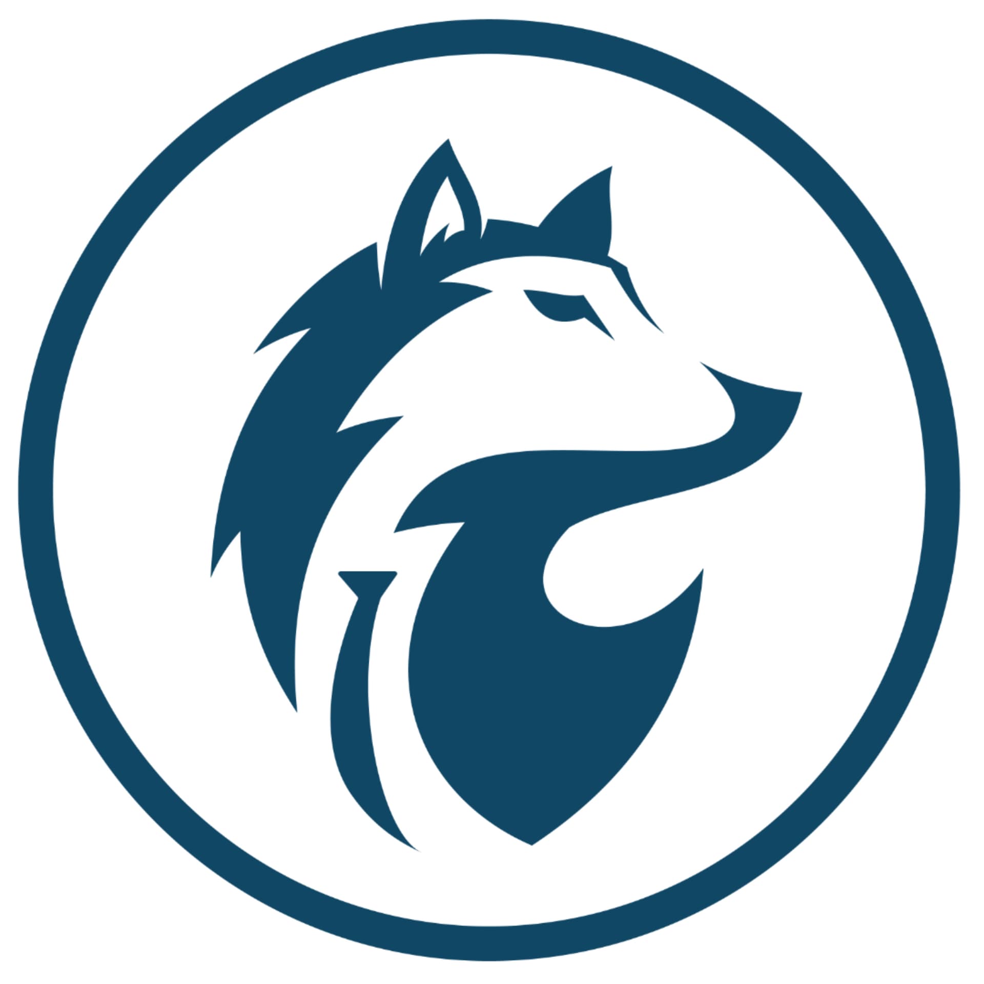SR WOLF PODCAST - Podcasts