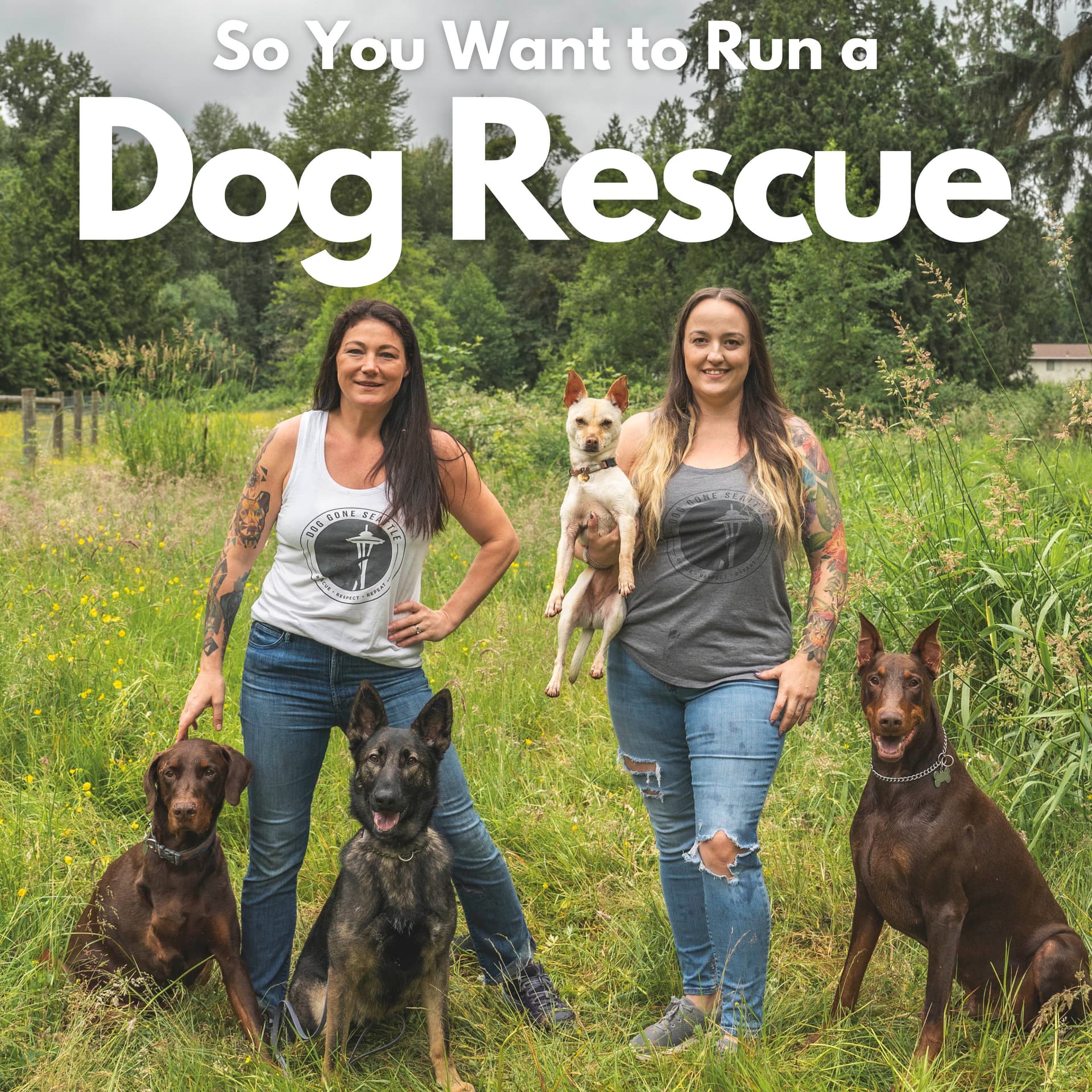 So You Want to Run a Dog Rescue - Podcast