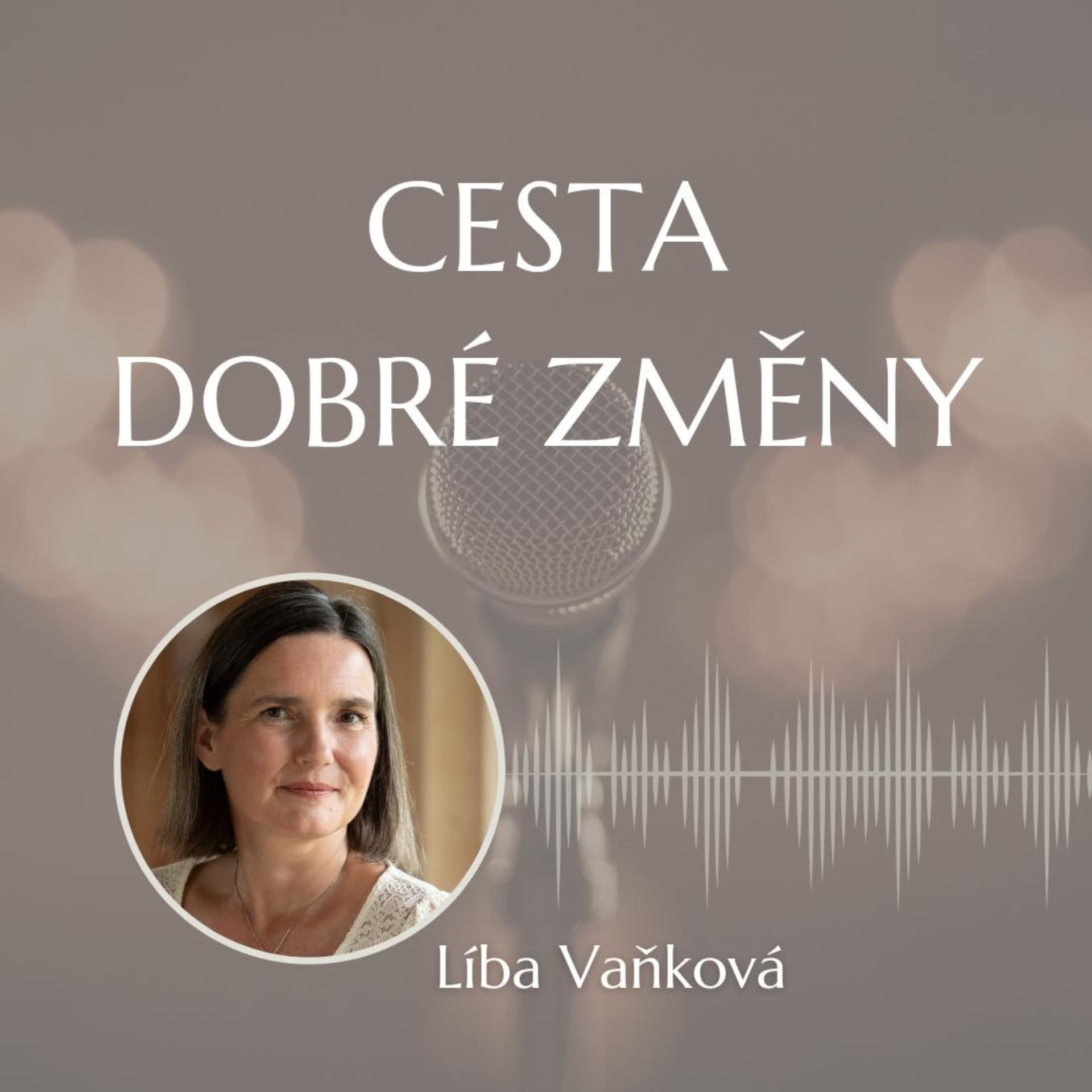 Cesta Dobré Změny - Podcasts