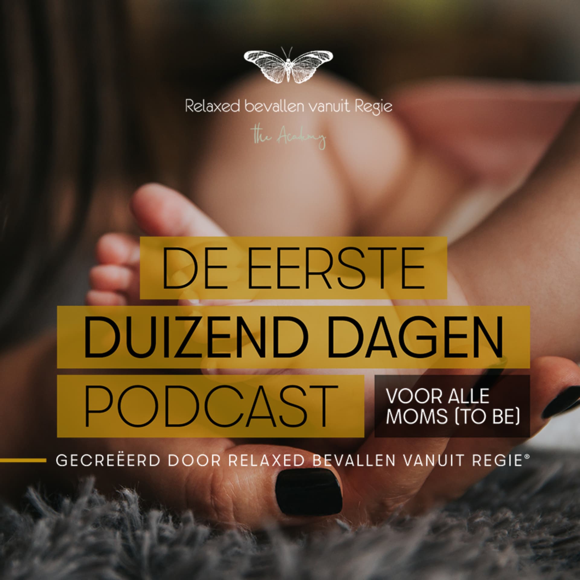 De Eerste Duizend Dagen podcast - Podcasts