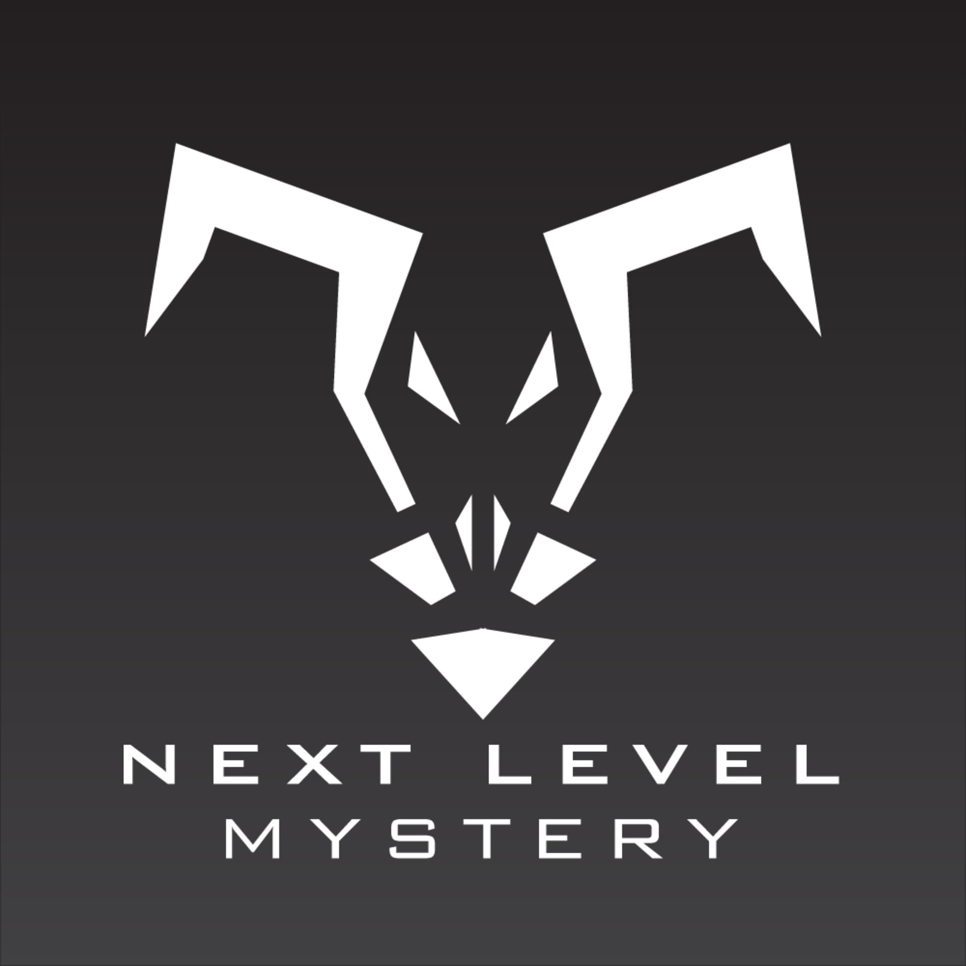 Next Level Mystery - Podcasts
