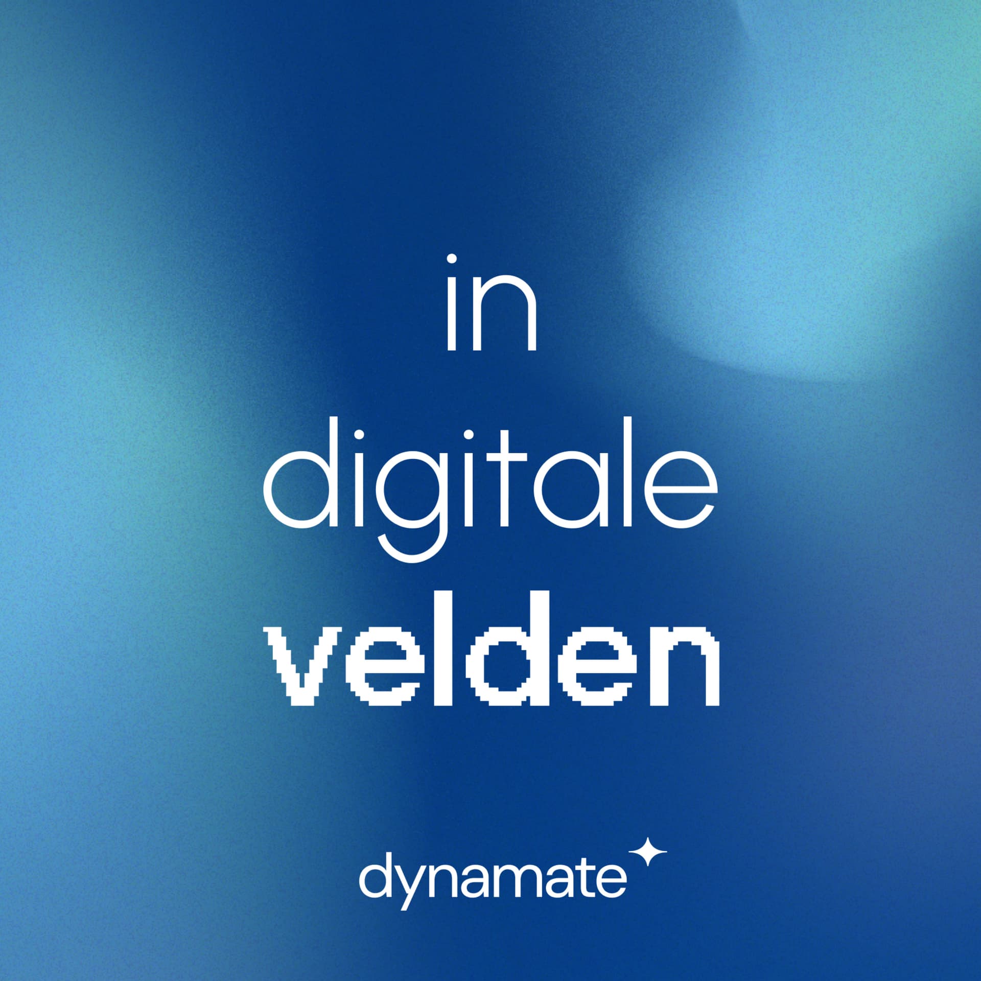 In Digitale Velden by Dynamate