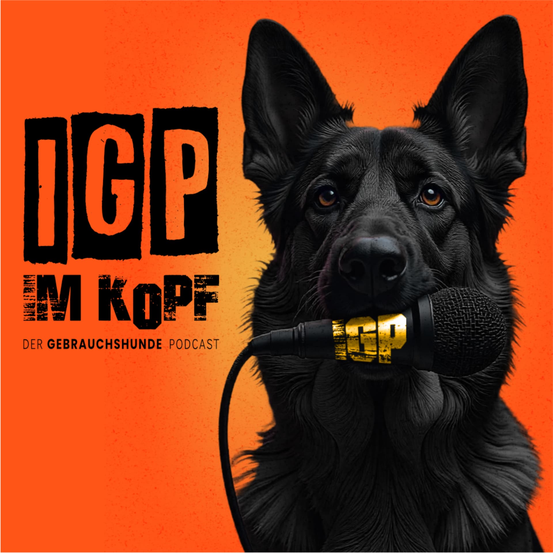 IGP im Kopf - Der Gebrauchshunde Podcast - Podcasts