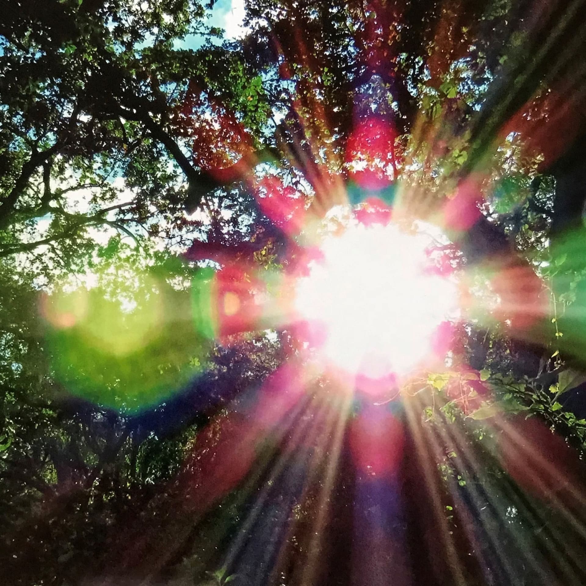 Standing in the Light - Podcasts