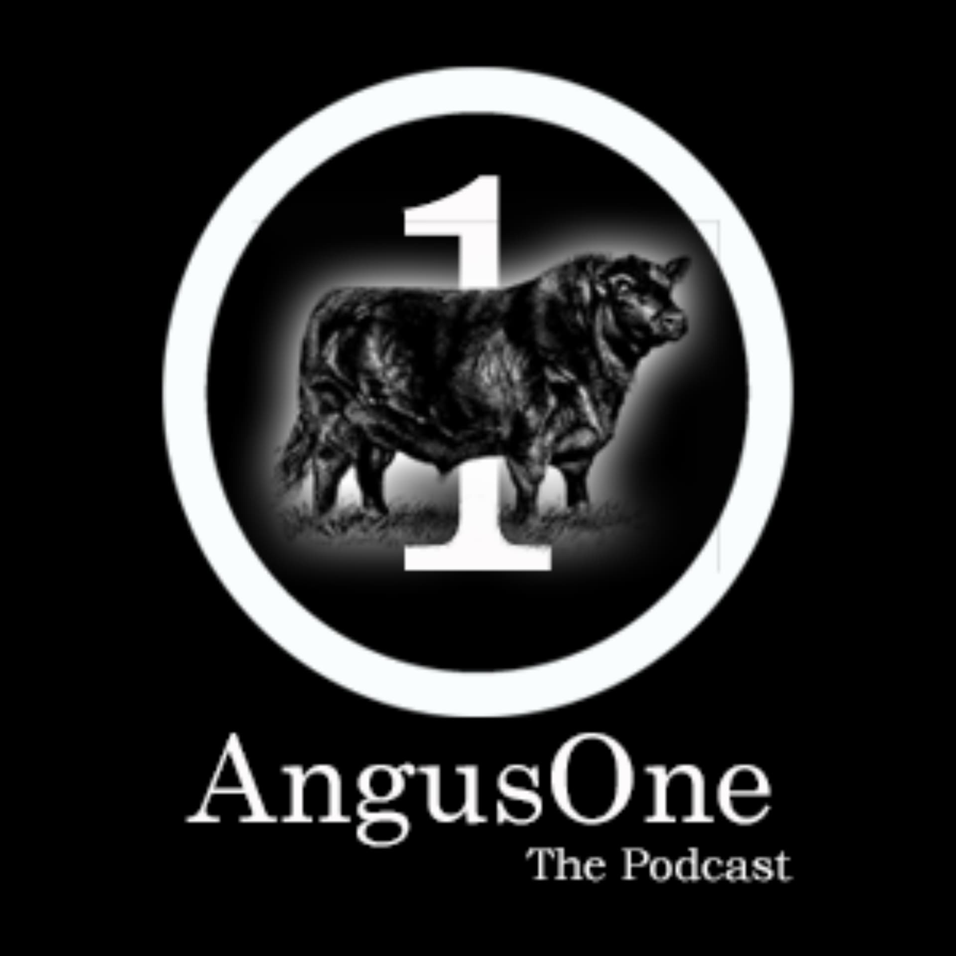 AngusOne - The Podcast - Podcasts