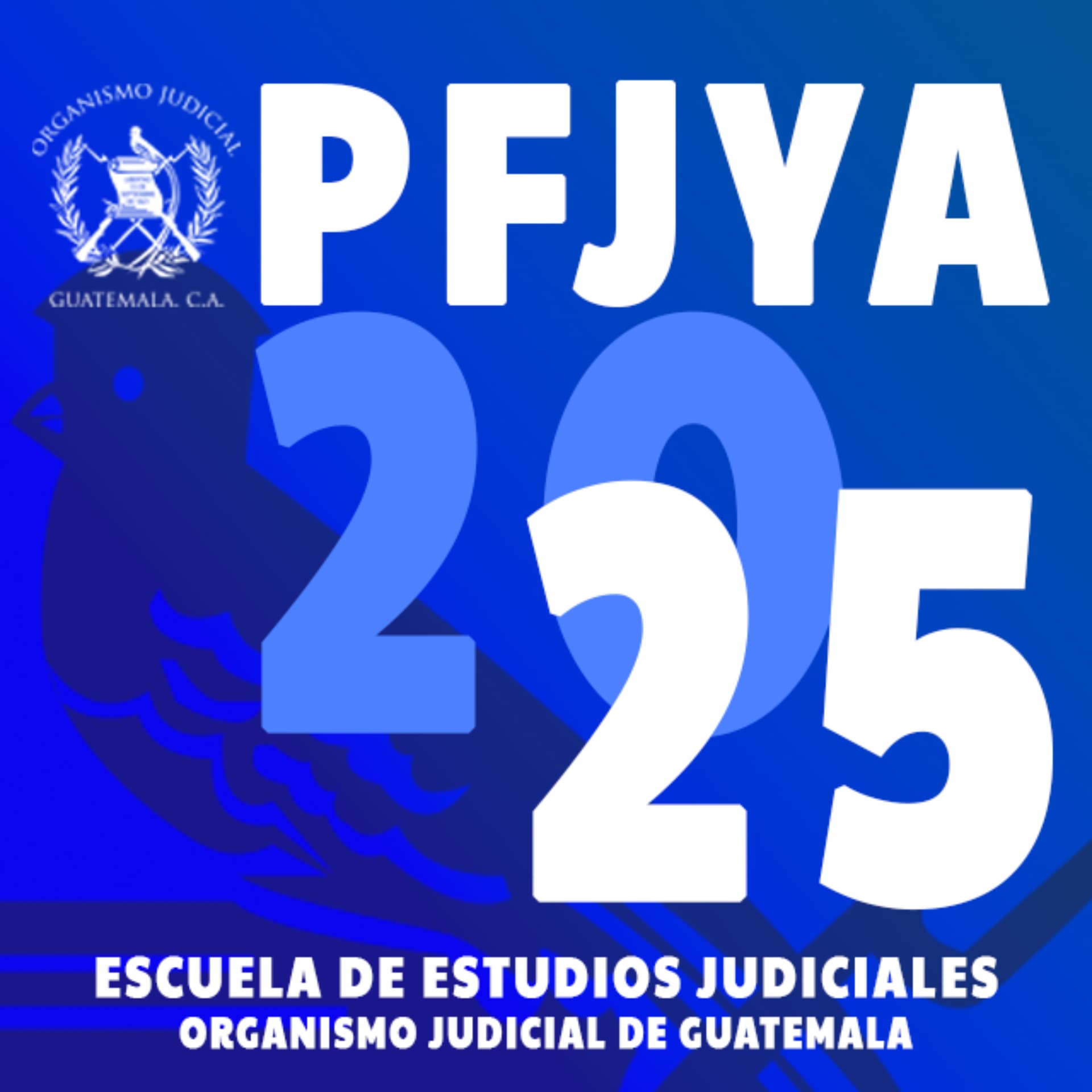 Programa de Formación Judicial y Administrativo 2025 - Escuela de Estudios Judiciales - Podcasts