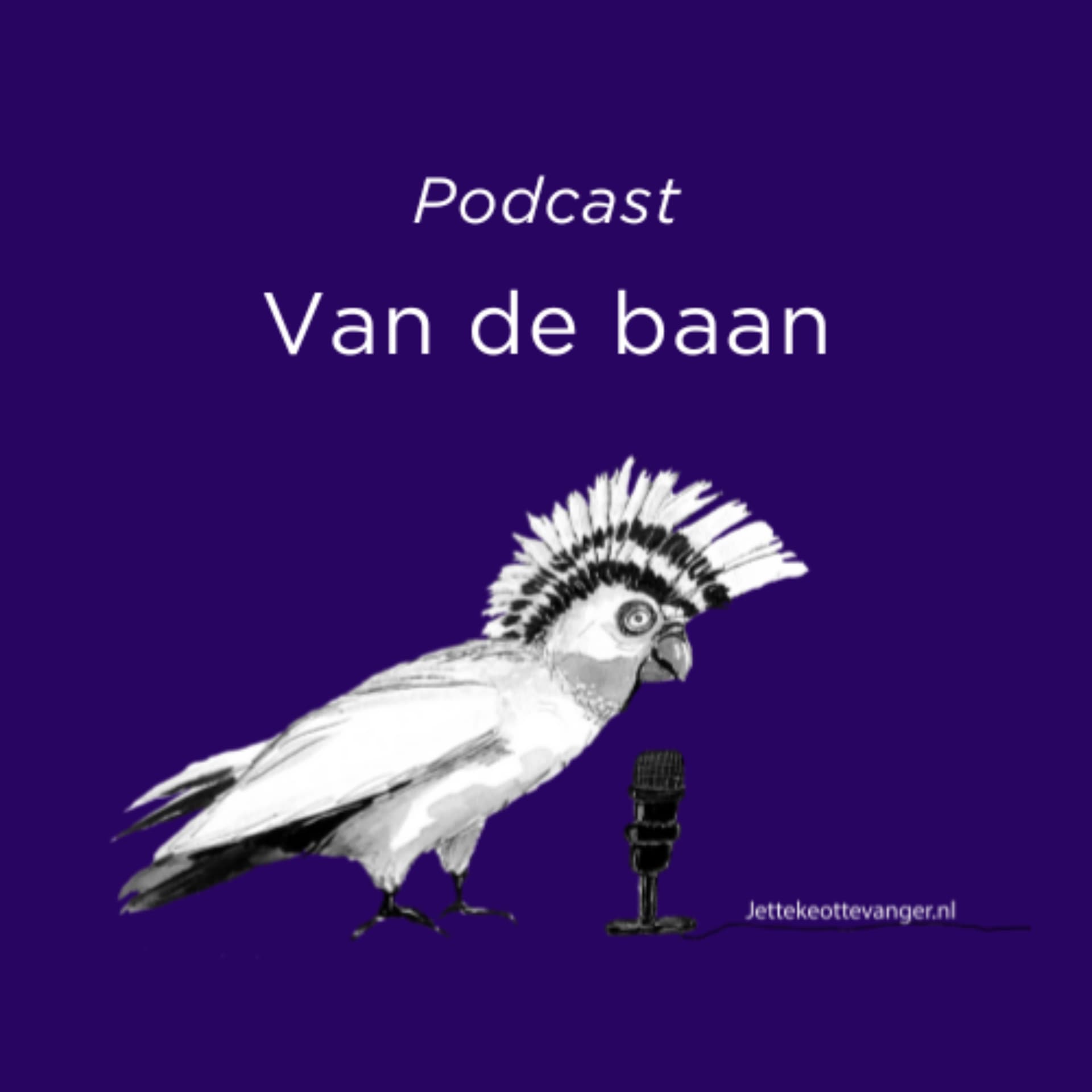Van de baan - Podcasts