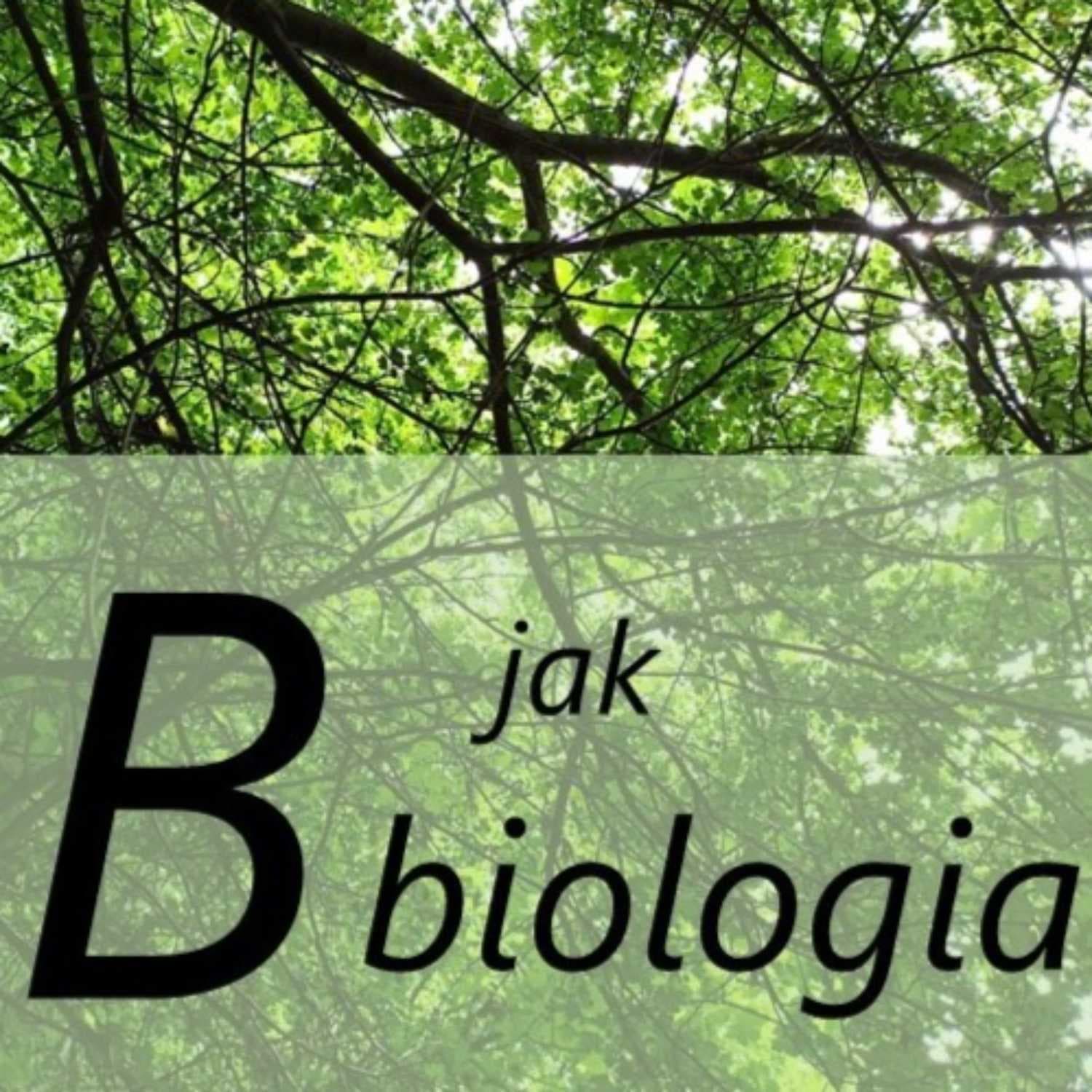 B jak biologia - Podcasty