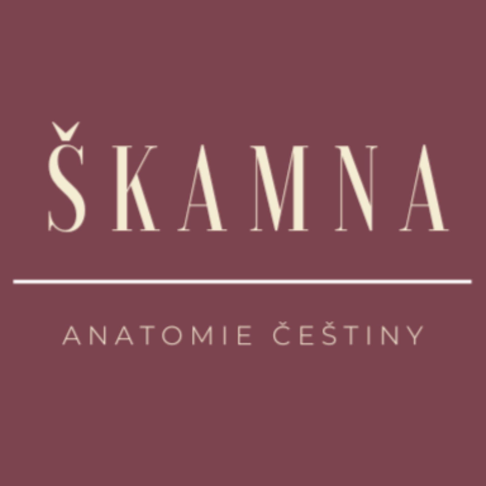 ŠKAMNA - Podcasts