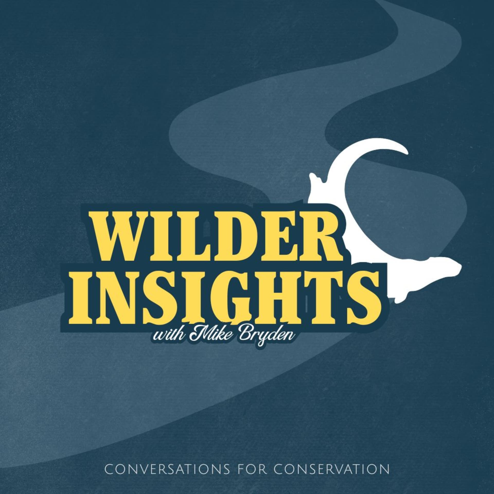 Wilder Insights with Mike Bryden - Podcast