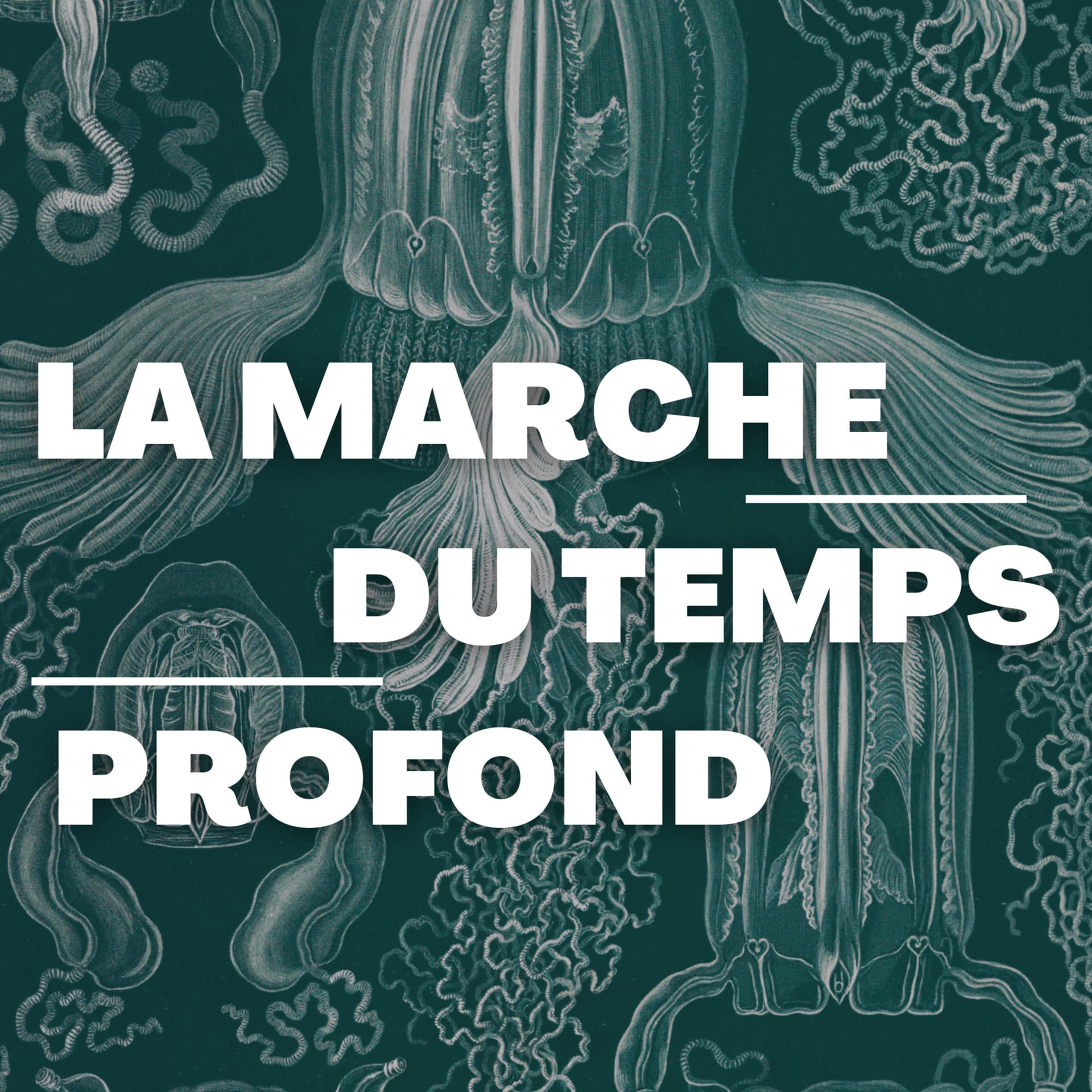 La marche du temps profond - Podcasts
