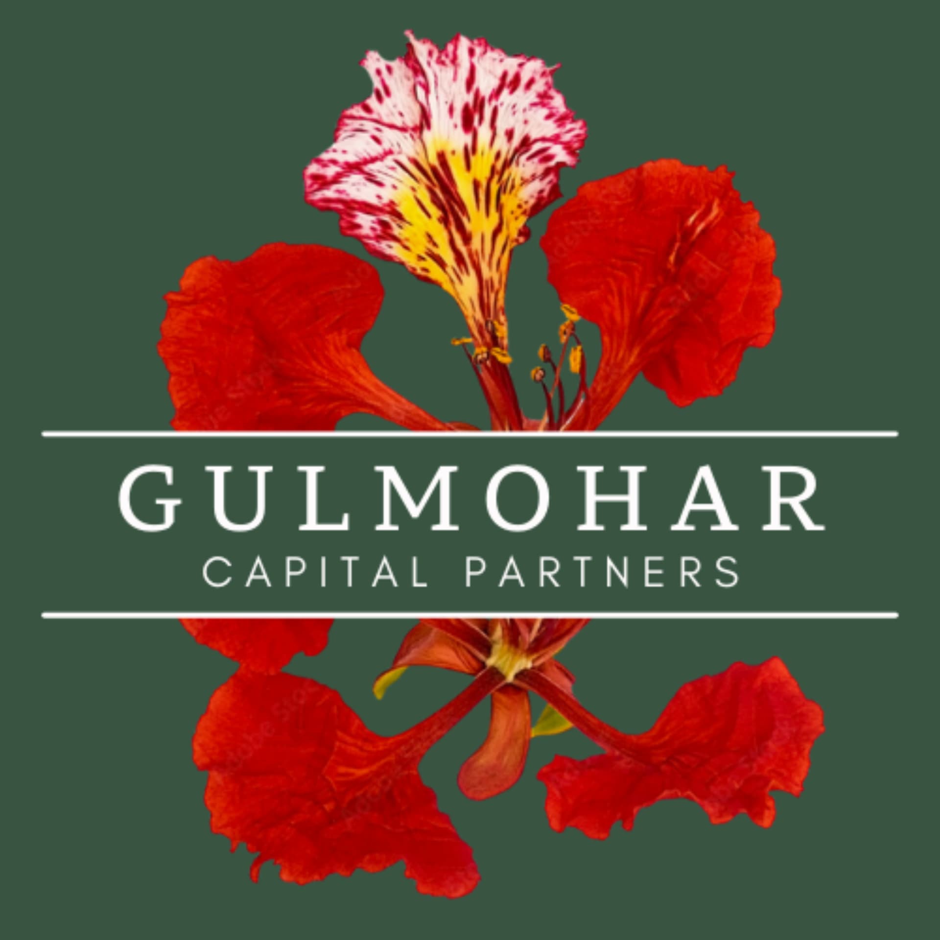 Under the Gulmohar tree - Podcasts