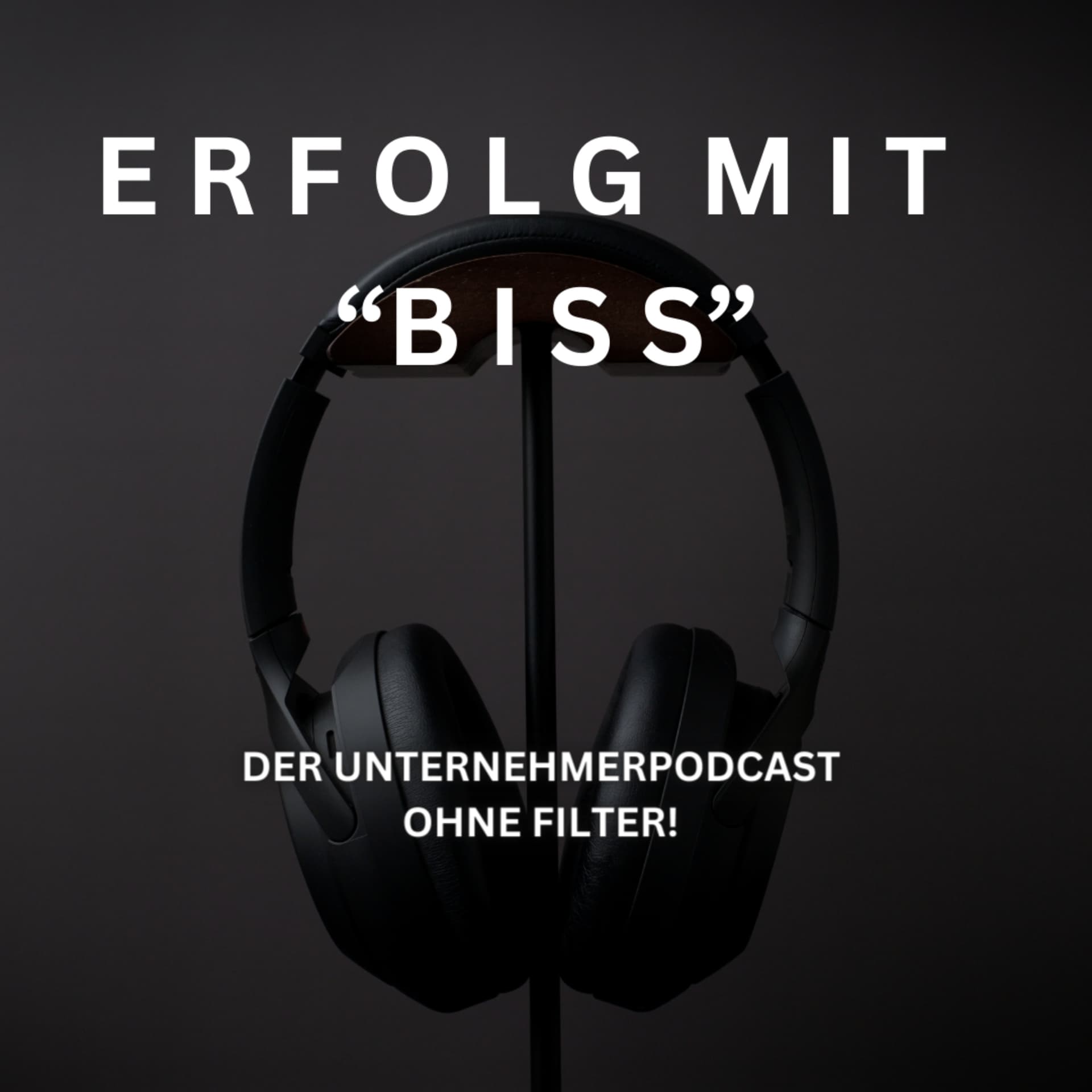 "ERFOLG MIT BISS" Der Unternehmer - Podcast ohne Filter. - Podcasts