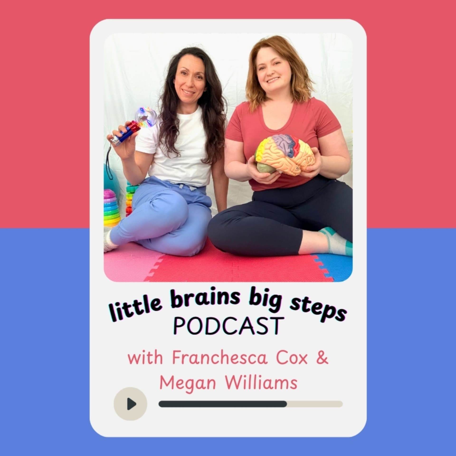 Little Brains Big Steps - Podcasts