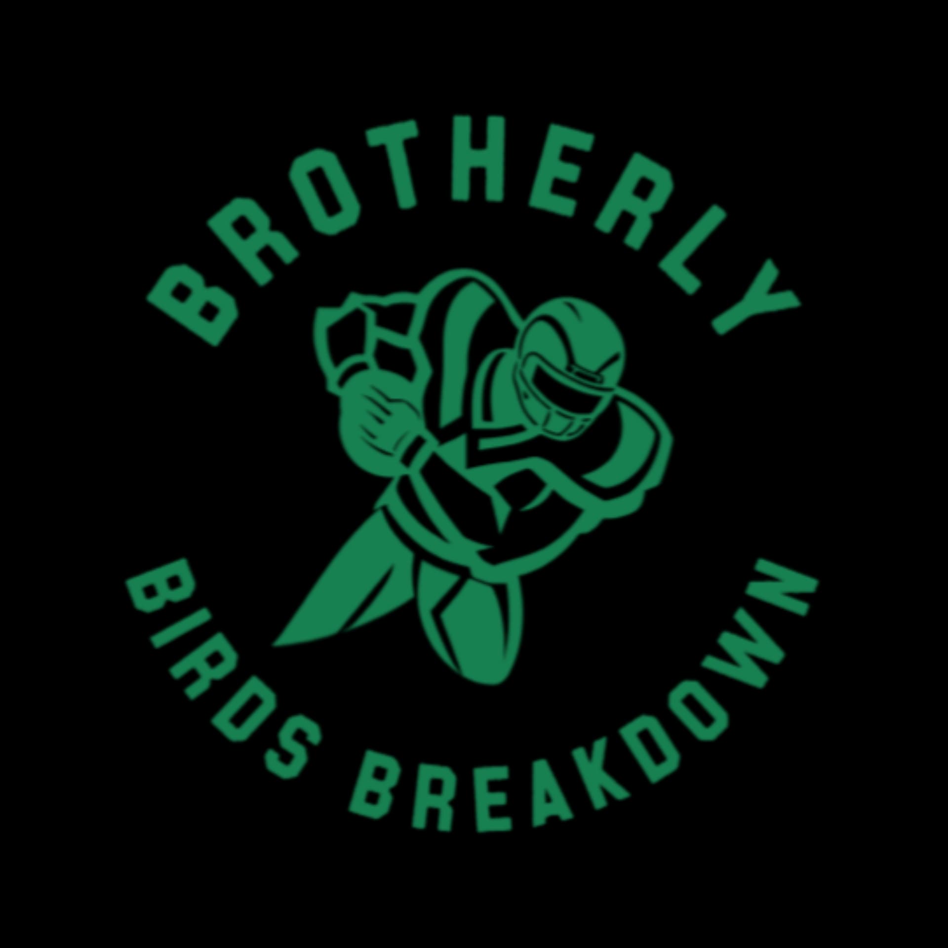 The Brotherly Birds Breakdown - Podcasts