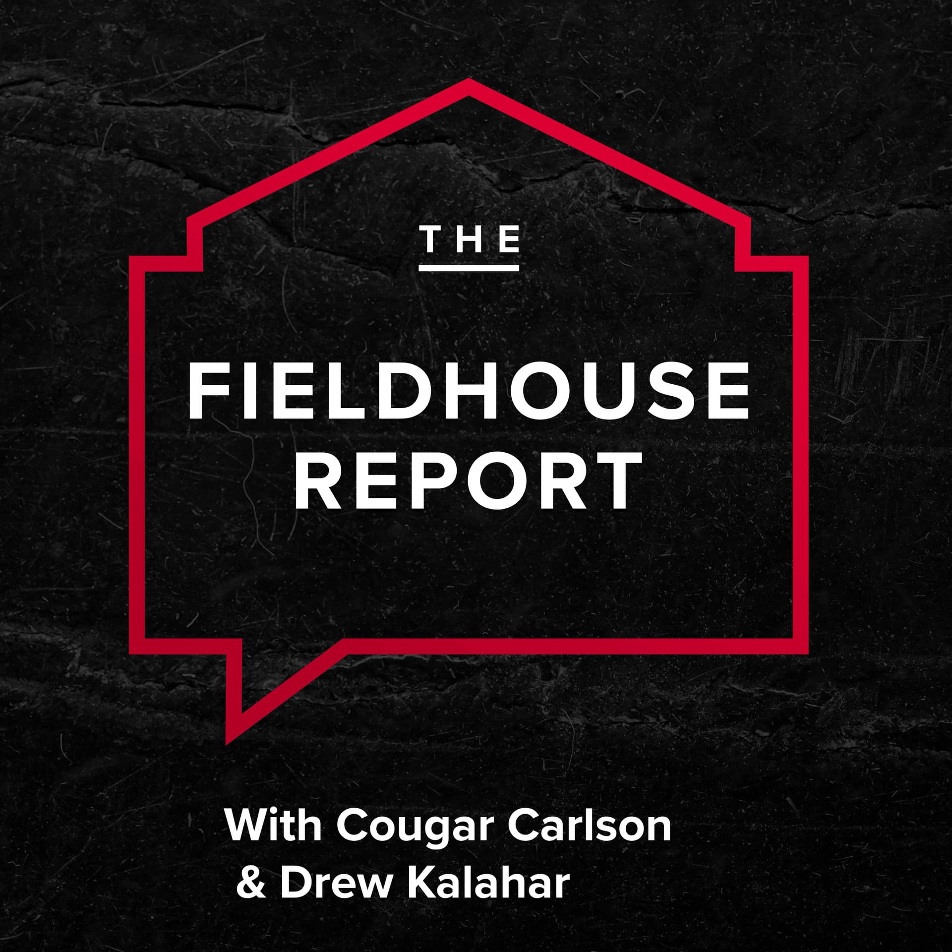The FieldHouse Report - Podcasts