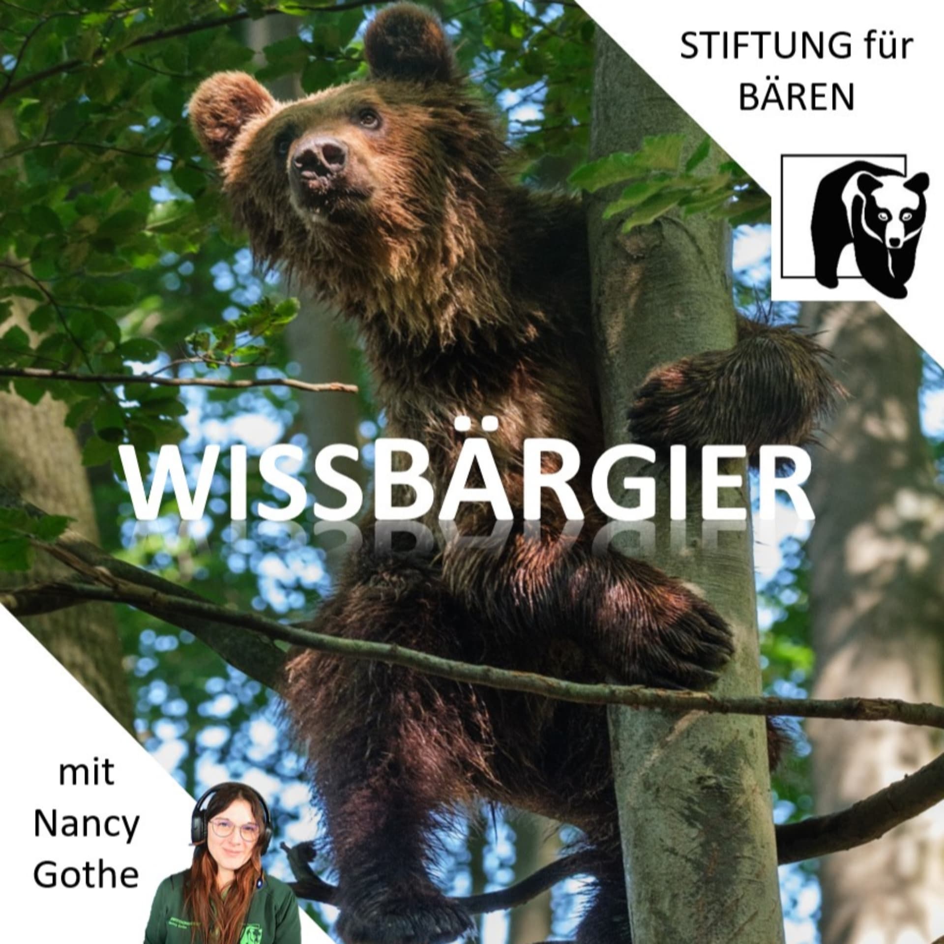WissBärGier - Podcasts
