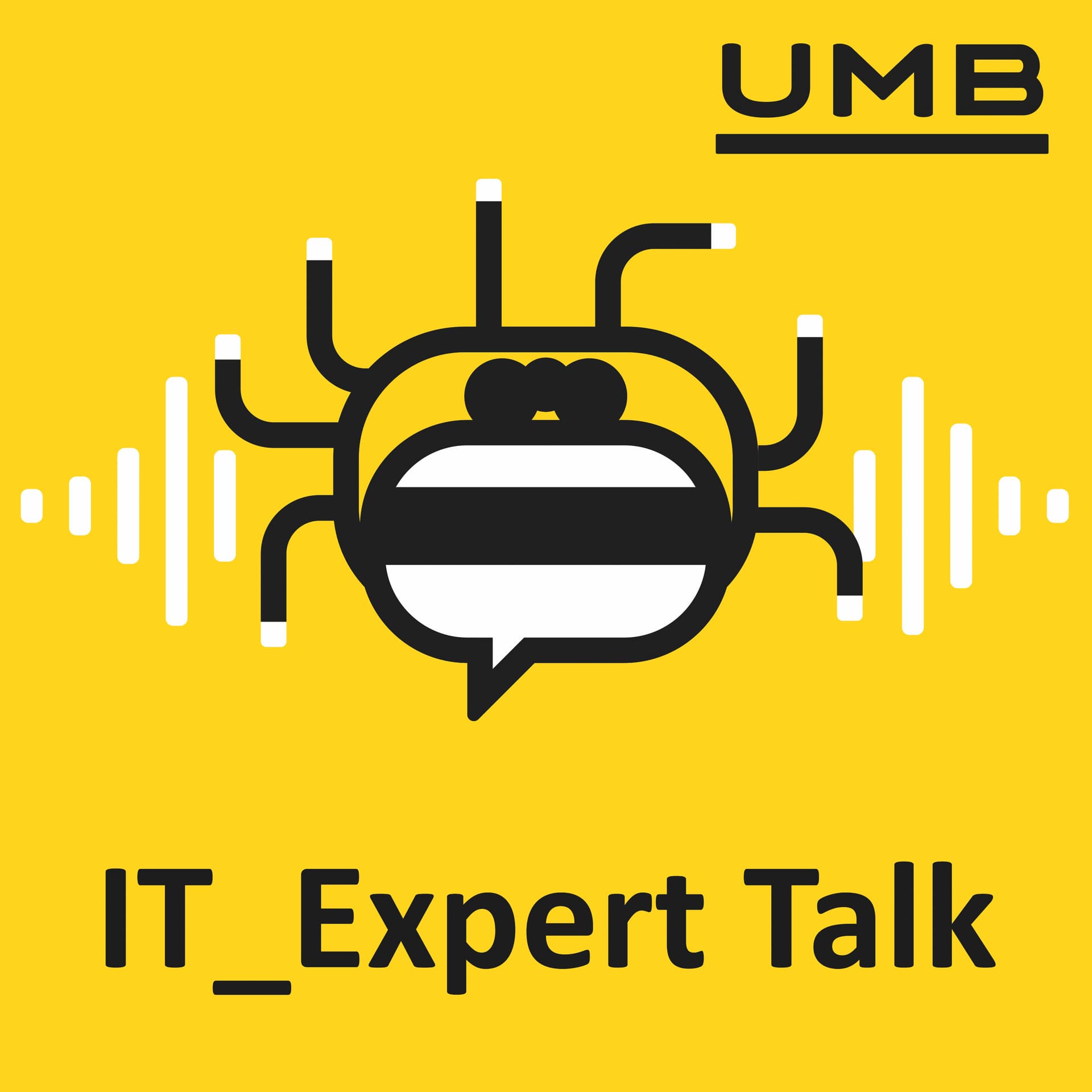 IT Expert Talk - Podcasts