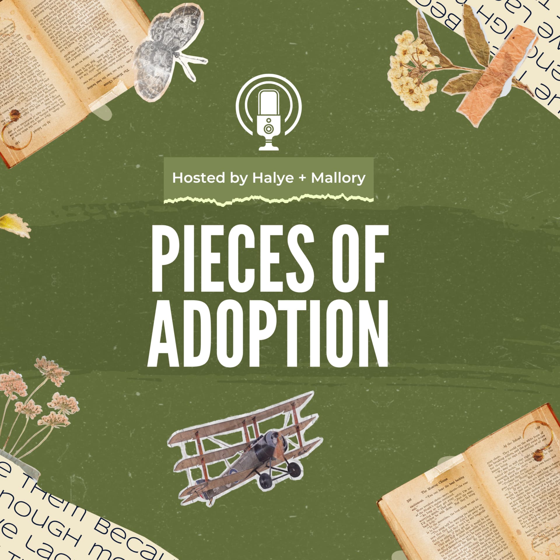 Pieces of Adoption Podcast - Podcasts