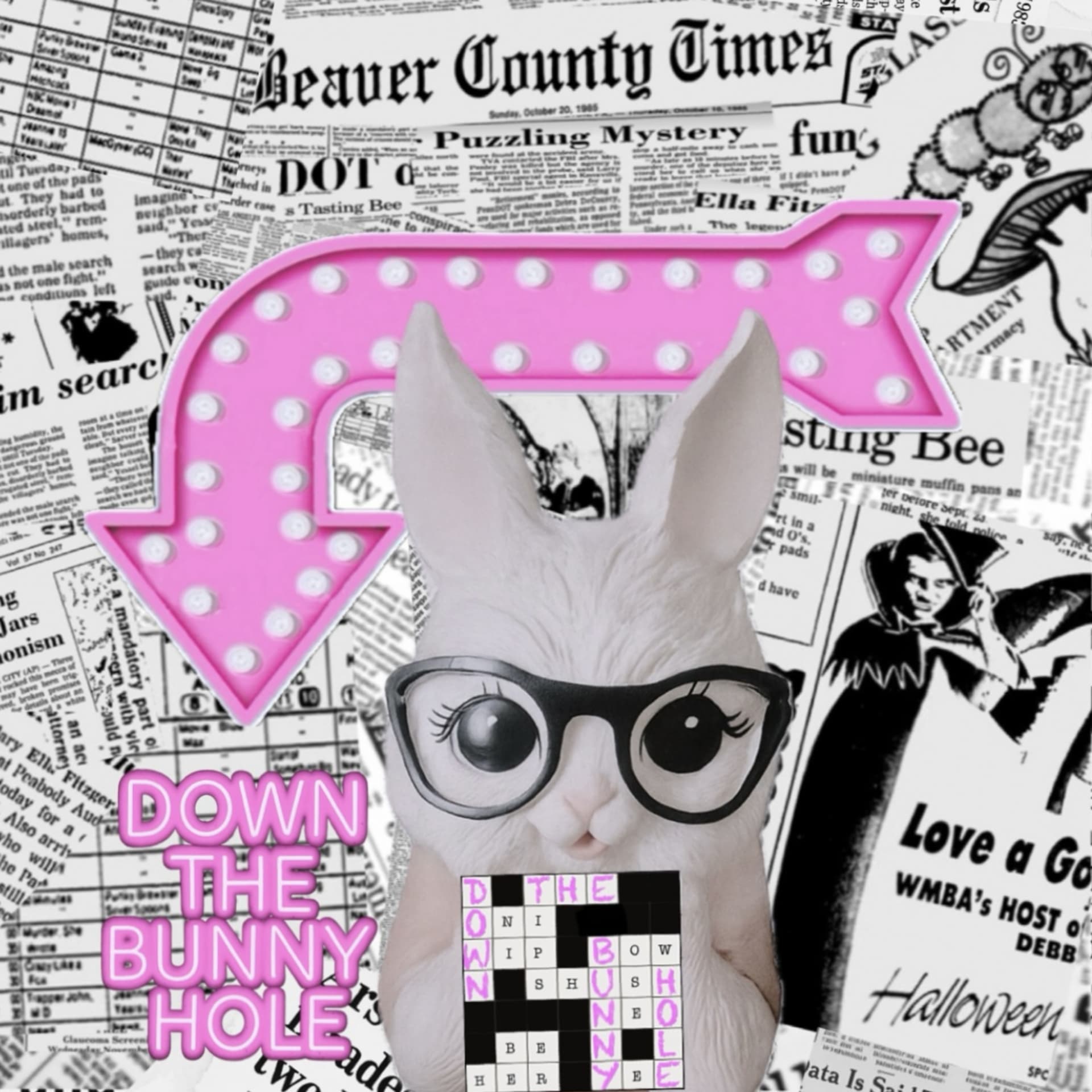 Down the Bunny Hole - Podcasts