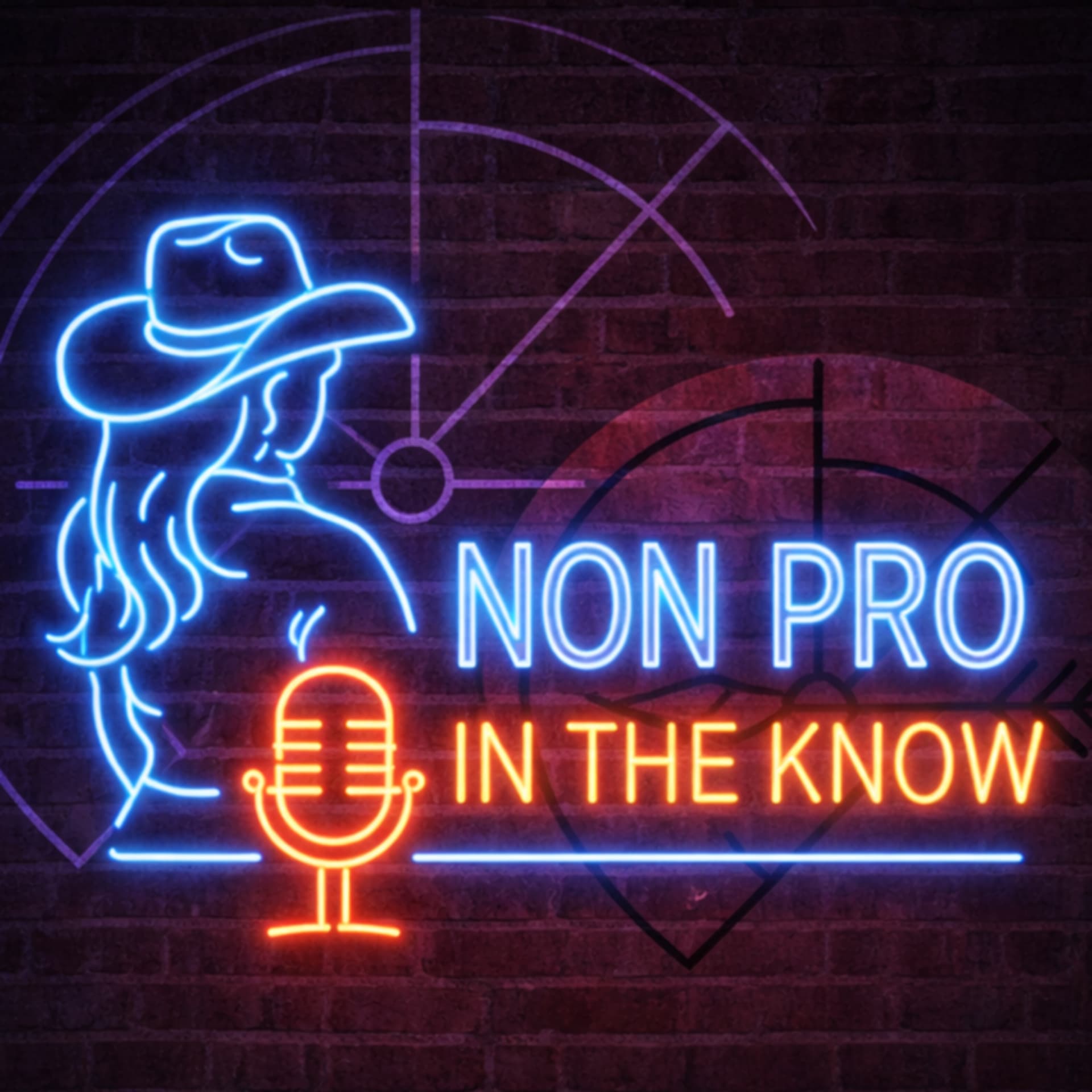 Non Pro In The Know - Podcasts