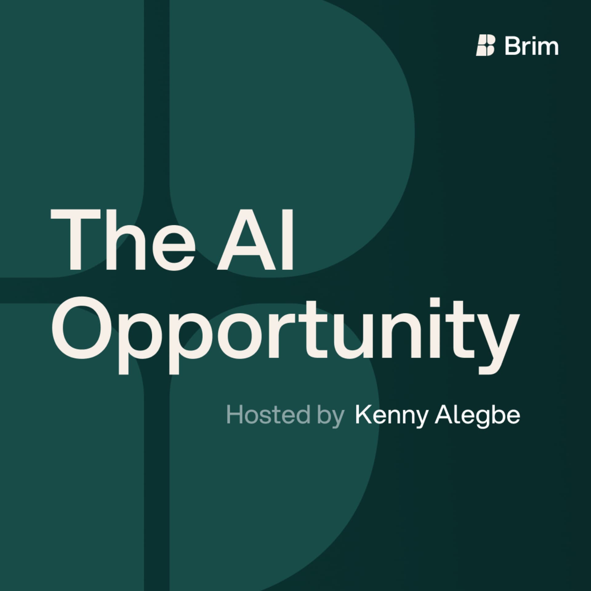 The AI Opportunity - Podcasts