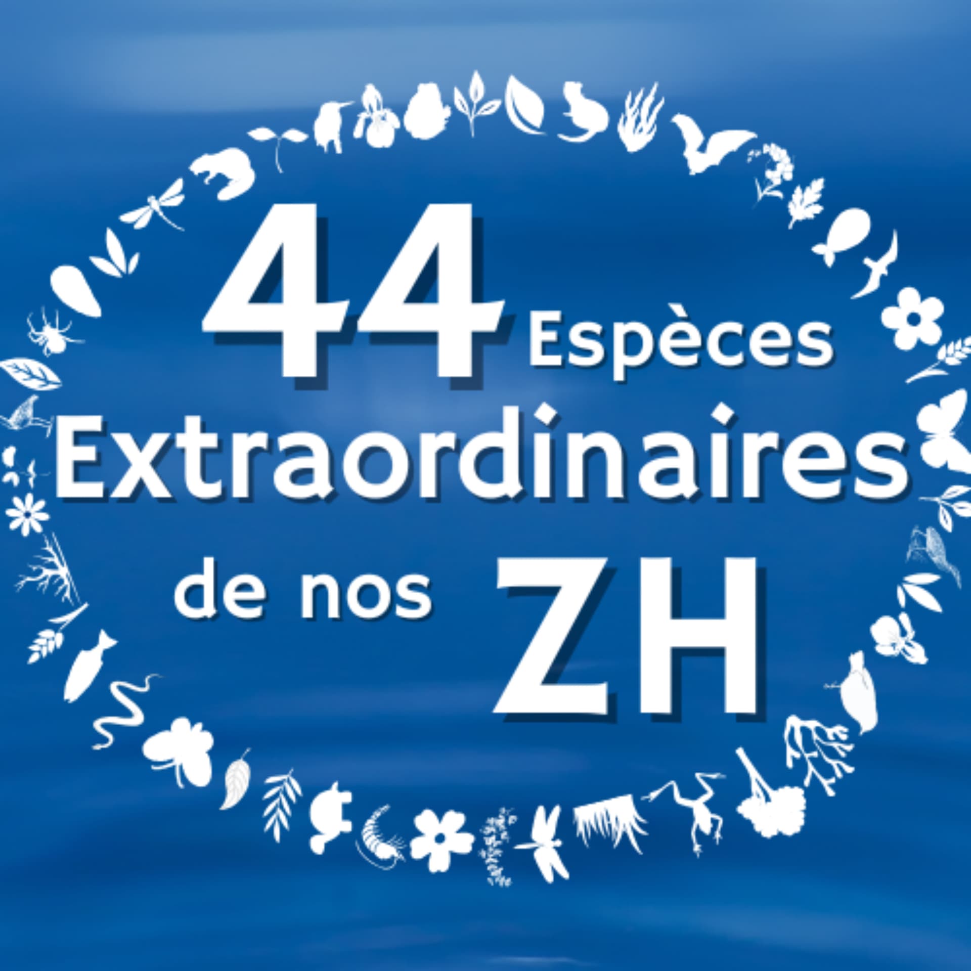 44 Espèces Extraordinaires de nos Zones Humides - Podcast