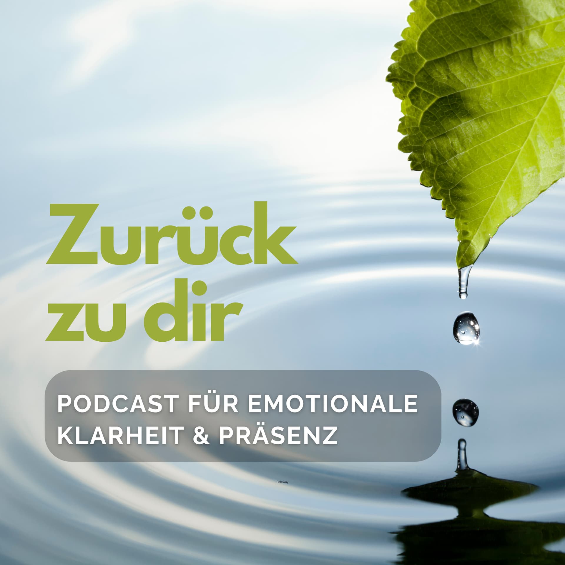 Zurück zu dir – Für emotionale Klarheit & Präsenz - Podcasts