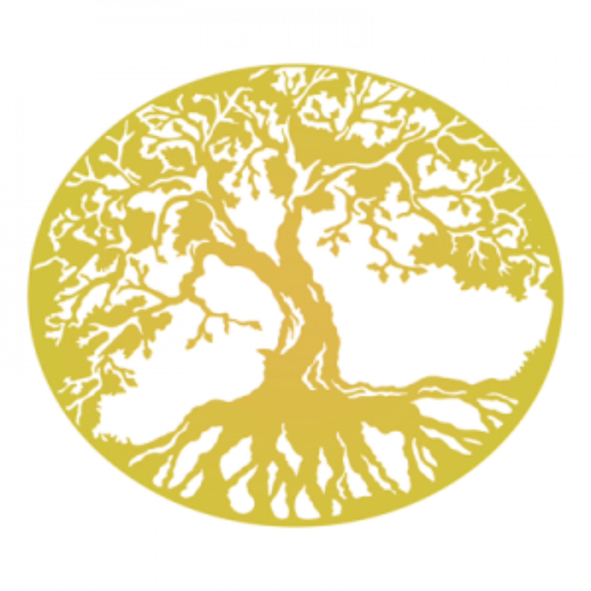 Soul Maps – Vedic Astrology - Podcasts