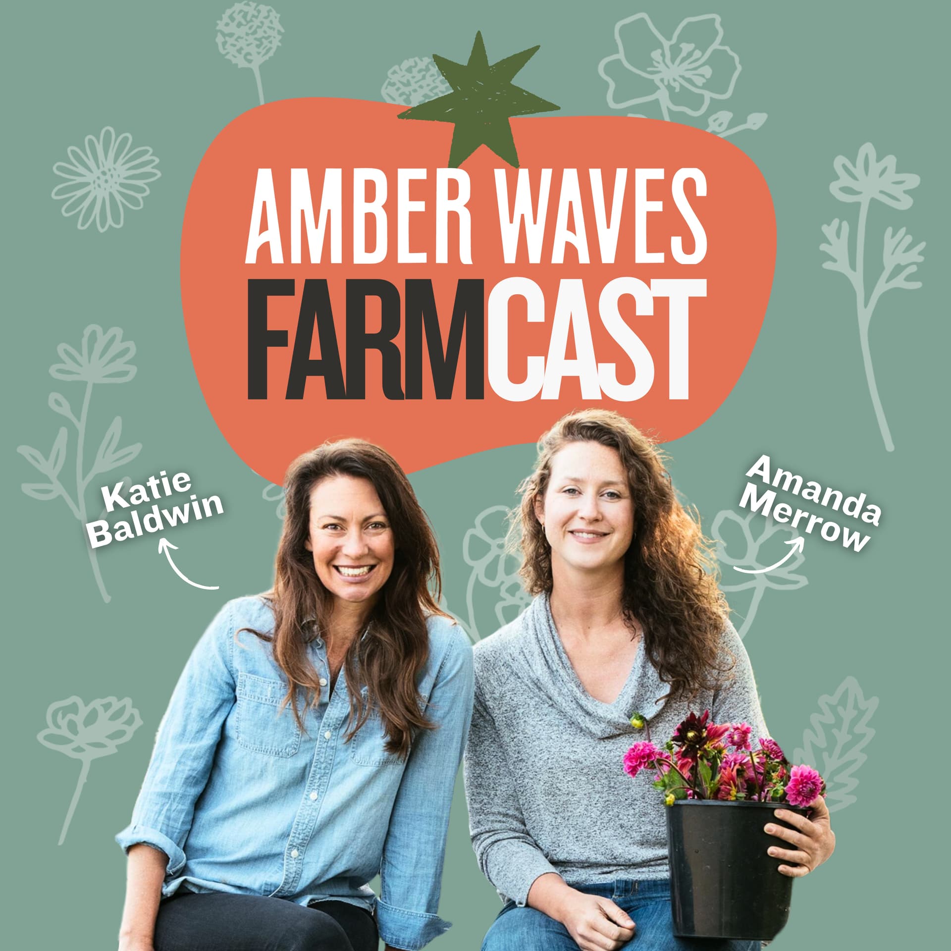 Amber Waves Farmcast: Growing Better Every Day Through Food, Farming and Community - Podcasts