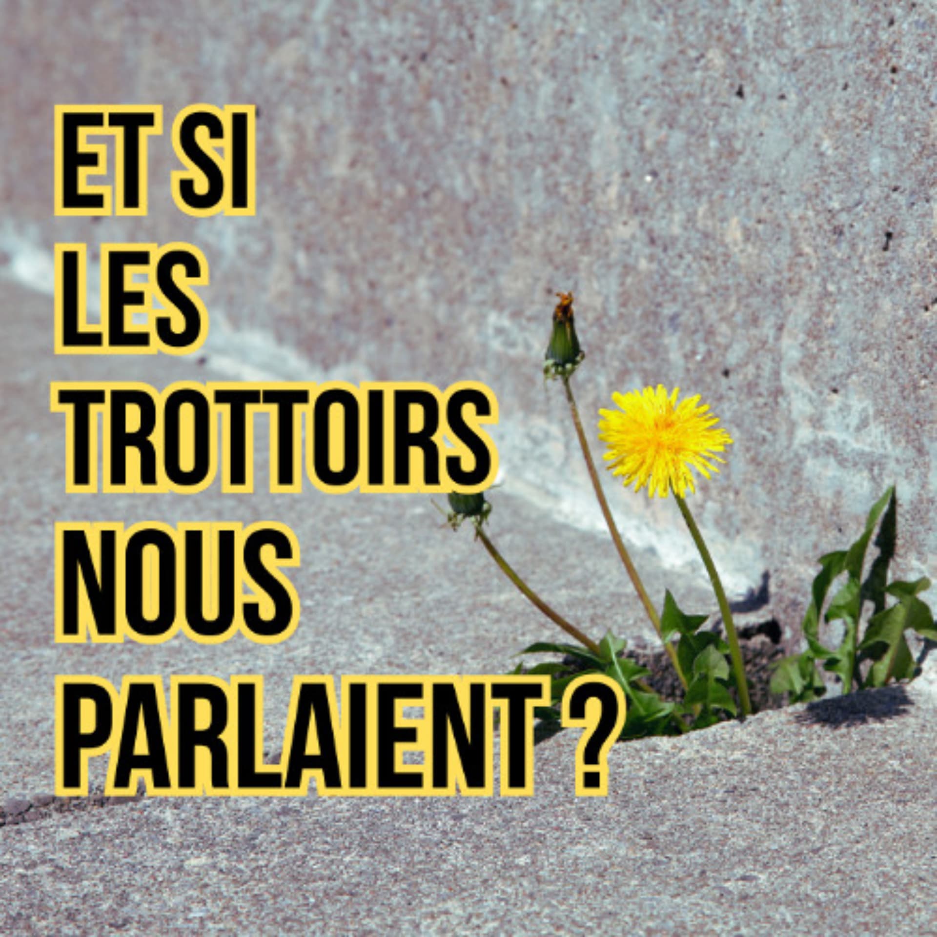 Et si les trottoirs nous parlaient? - Podcast