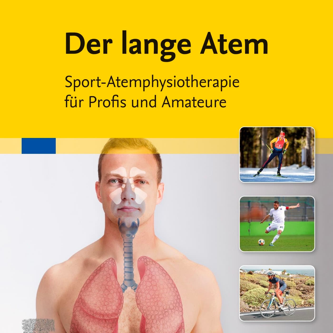 Der lange Atem - Der Atempodcast einer Physiotherapeutin - Podcasts