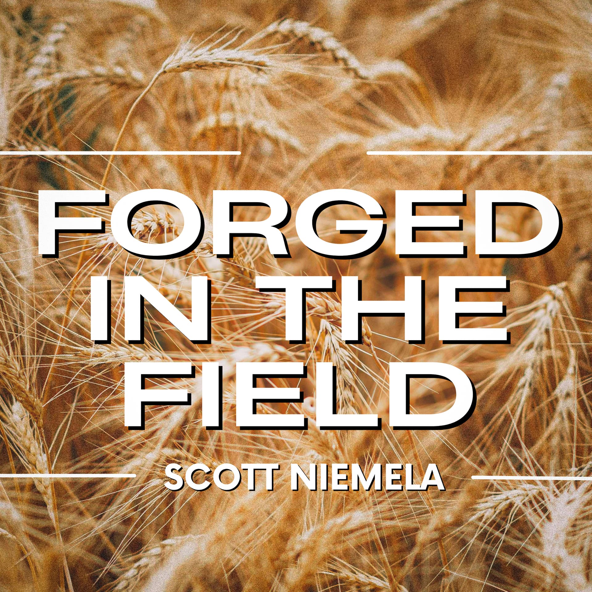 Forged in the Field - Podcasts