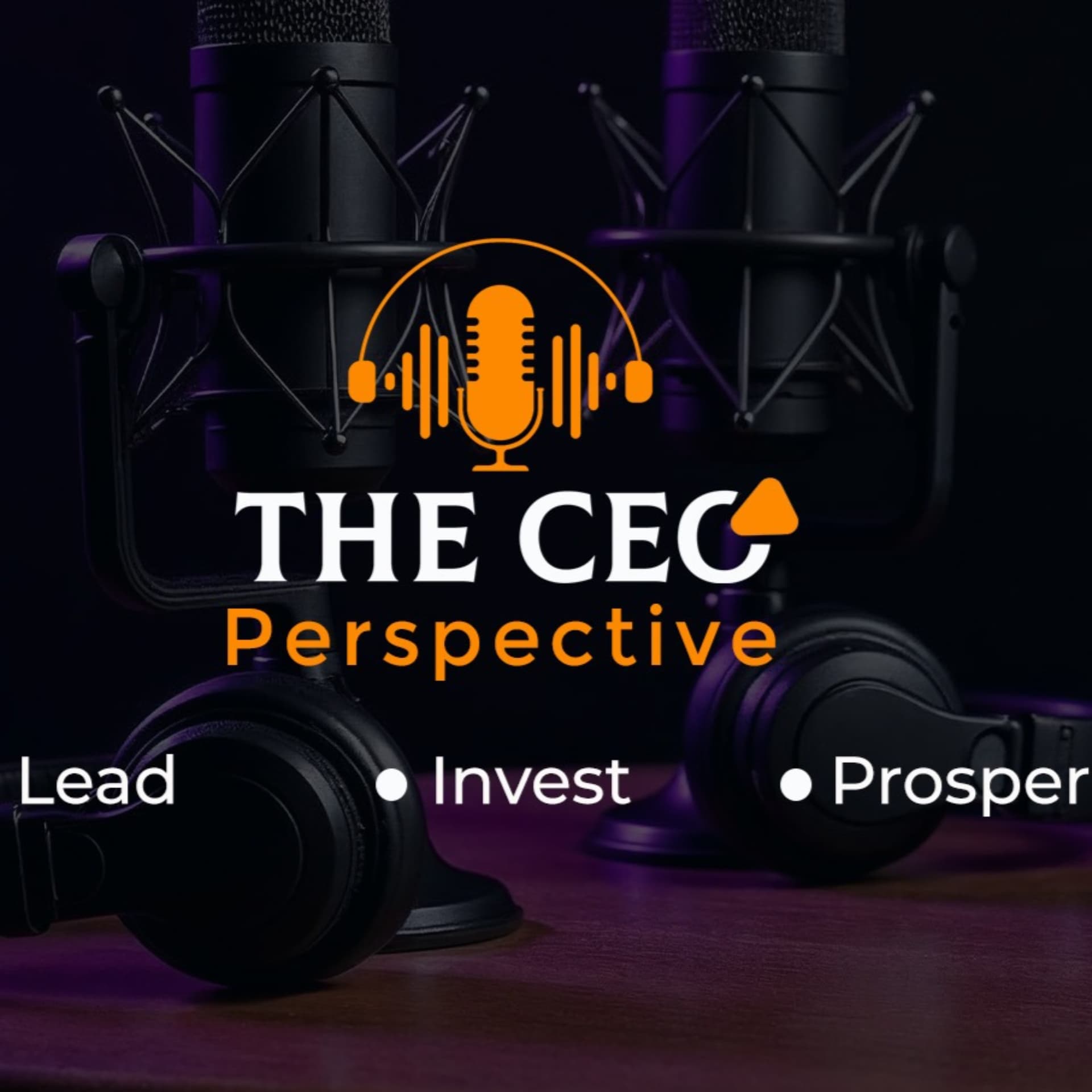 THE CEO PERSPECTIVE PODCAST - Podcasts