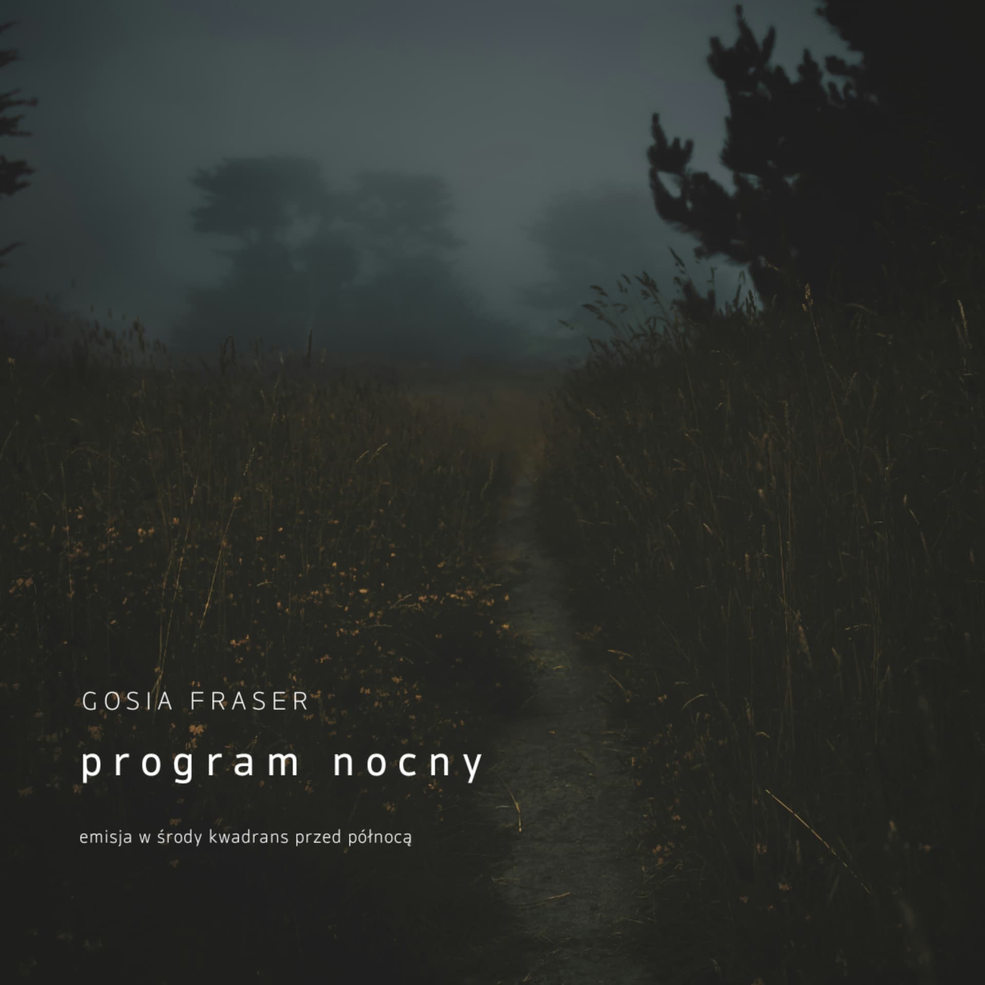 Program Nocny - Podcasts